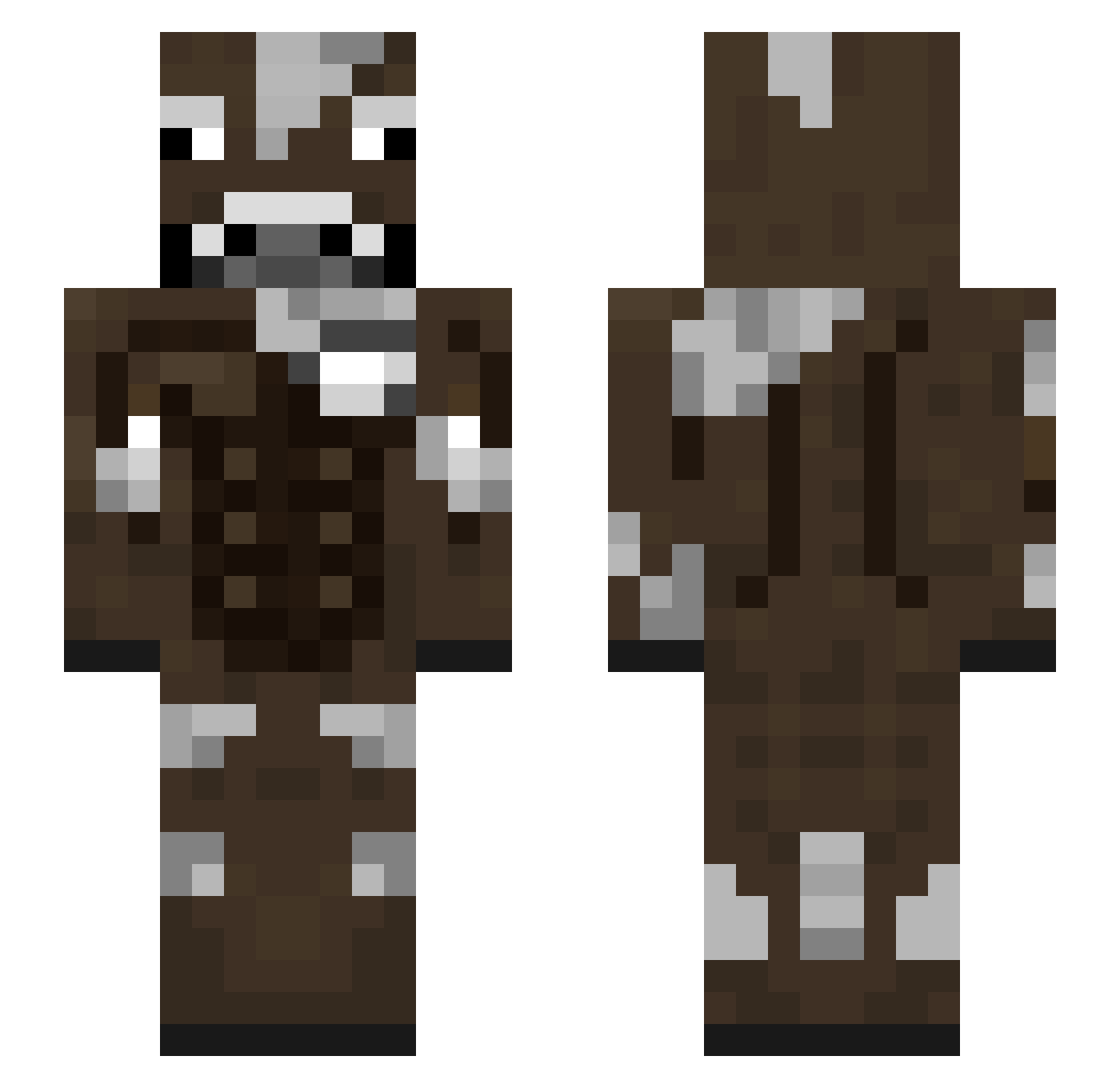 BioSeer Minecraft skin, front and back view
