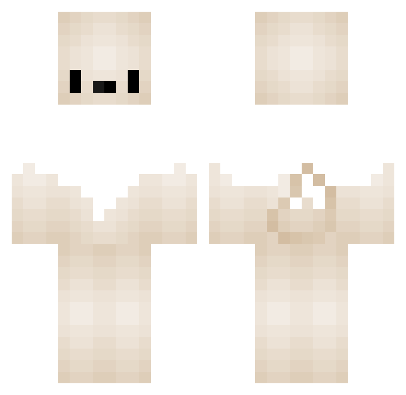 Funny Minecraft skin, front and back view