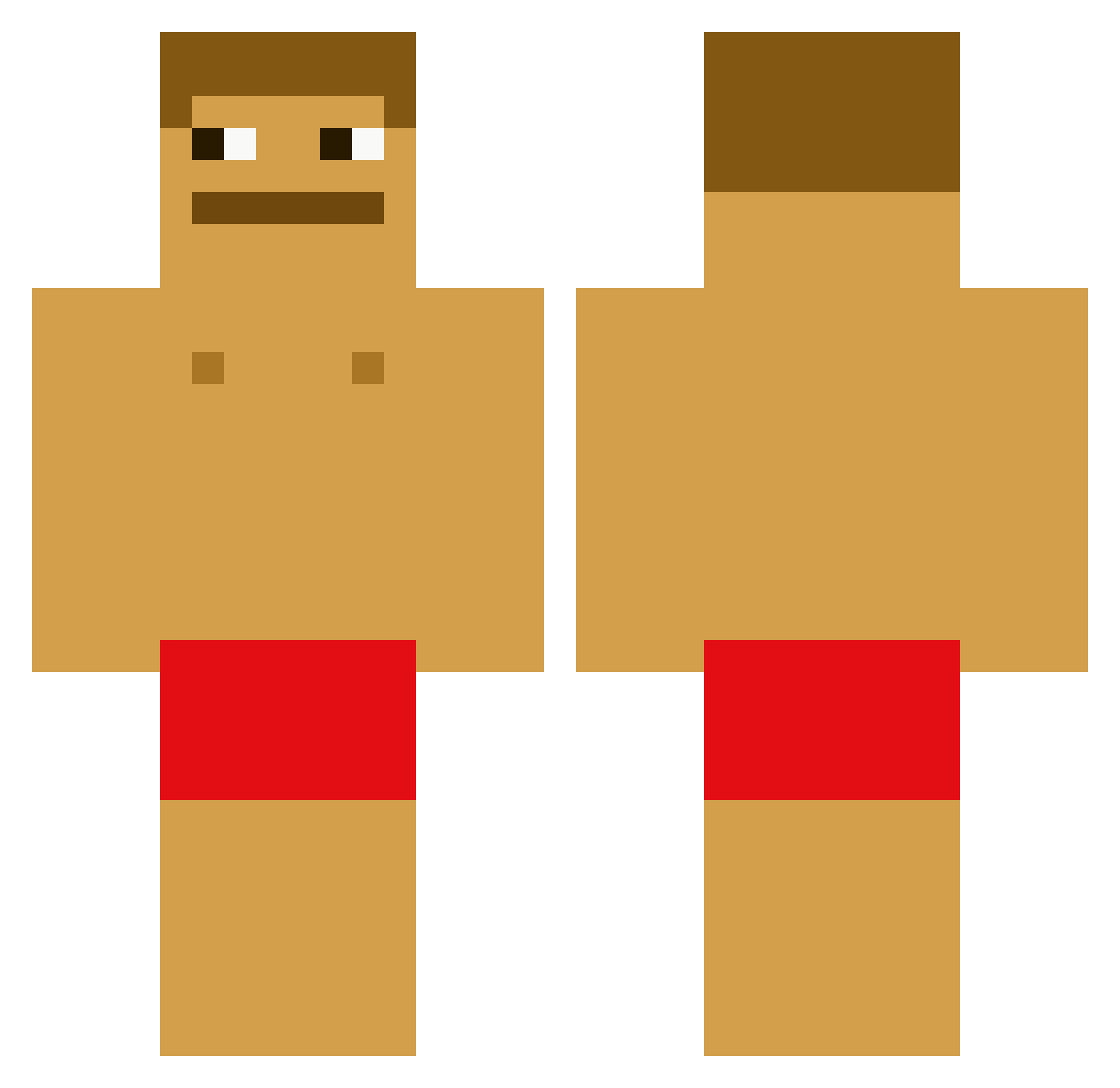 VId4R_ Minecraft skin, front and back view