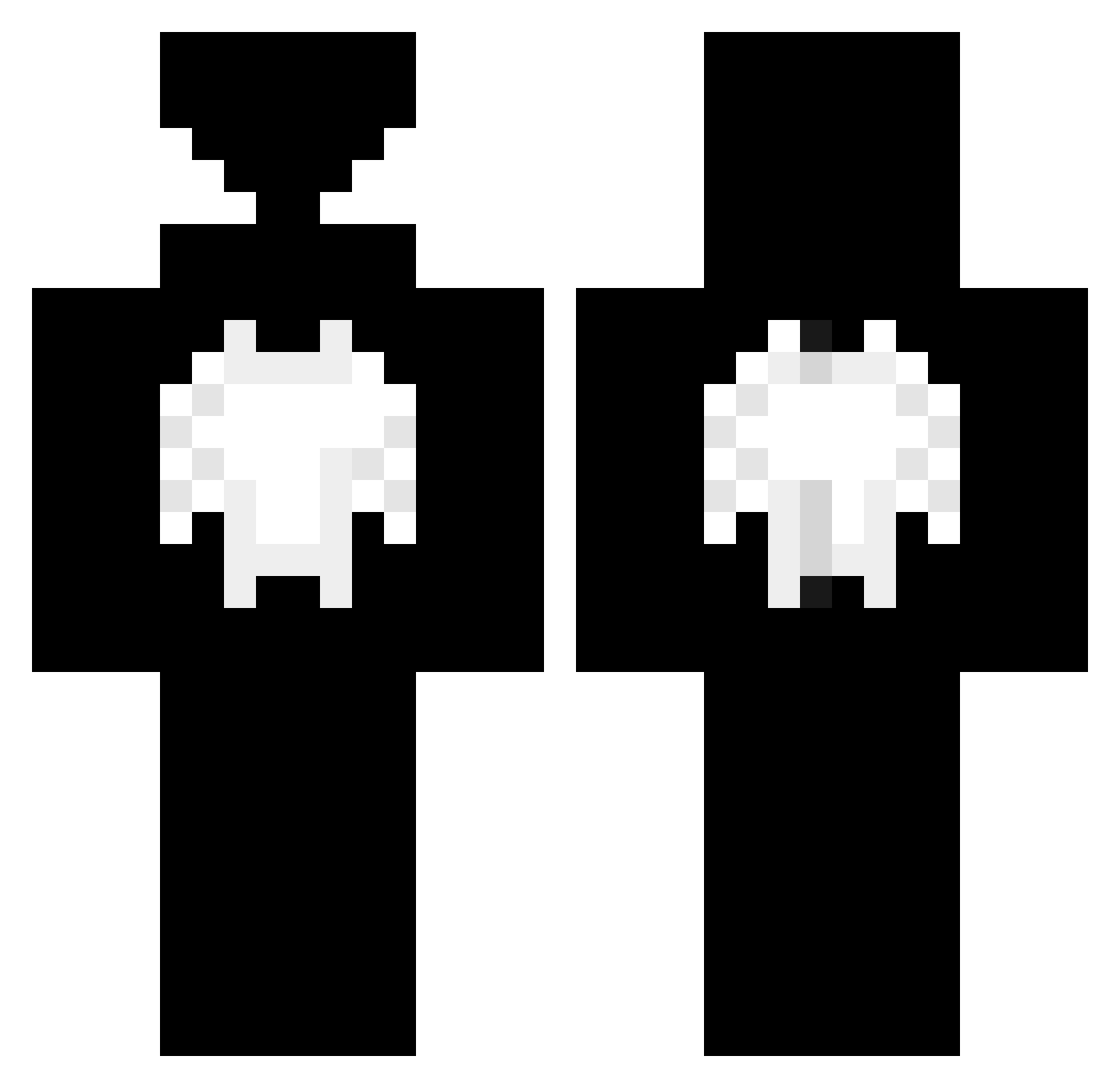 twinnnnnnnnnnnnn Minecraft skin, front and back view