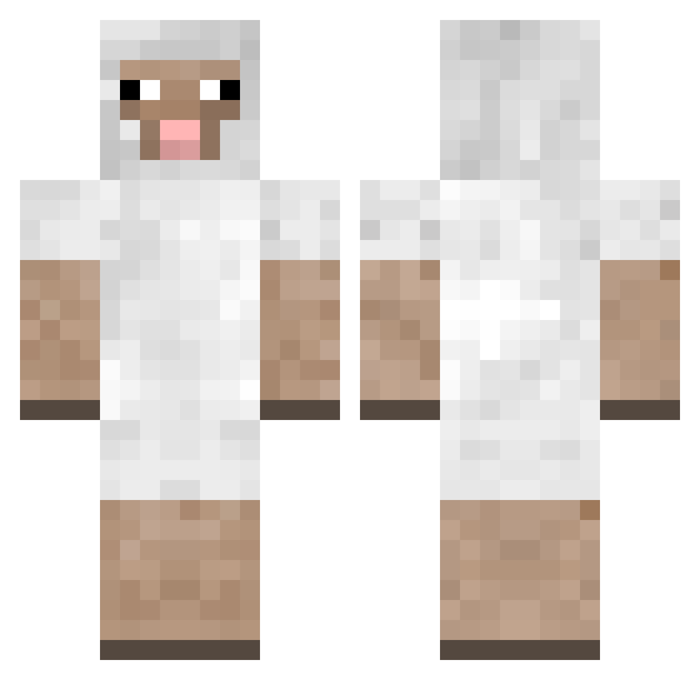 Finyman Minecraft skin, front and back view