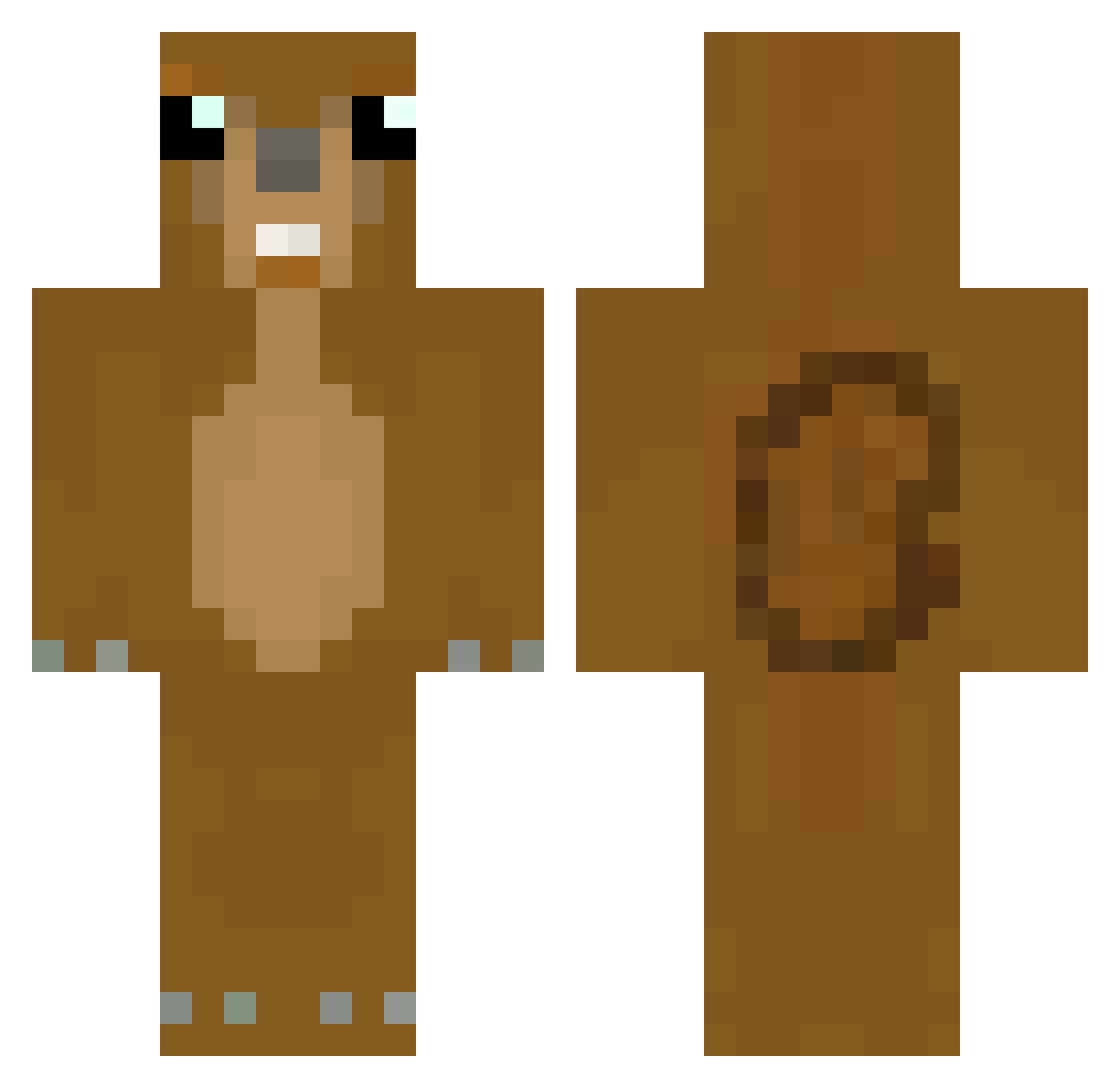 Lessert65 Minecraft skin, front and back view