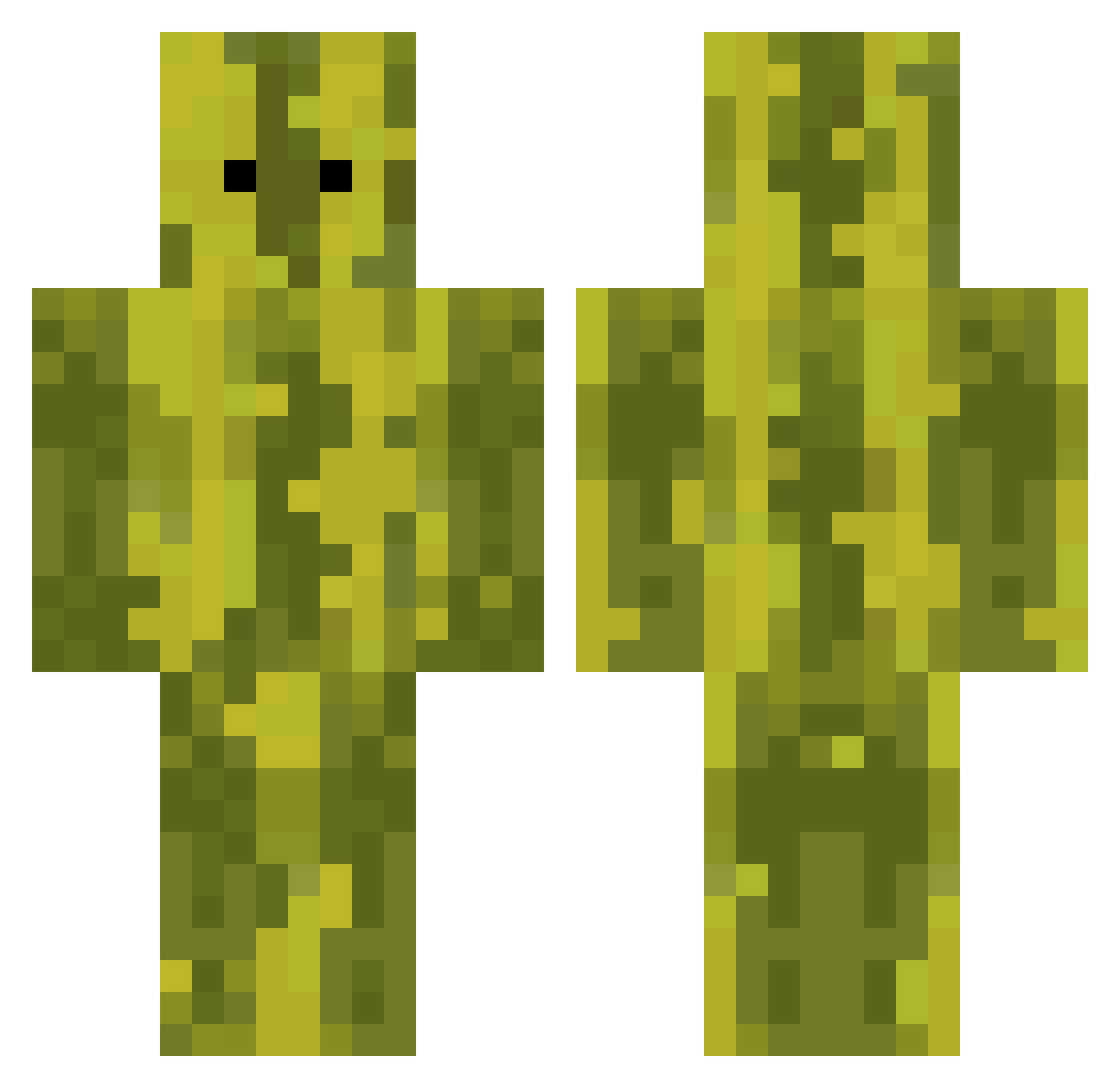Dewiest Minecraft skin, front and back view