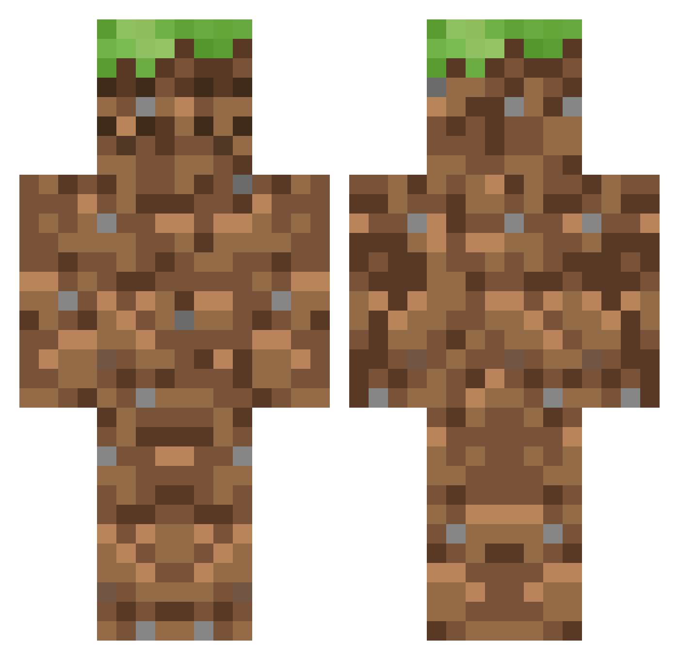 RichardErde Minecraft skin, front and back view