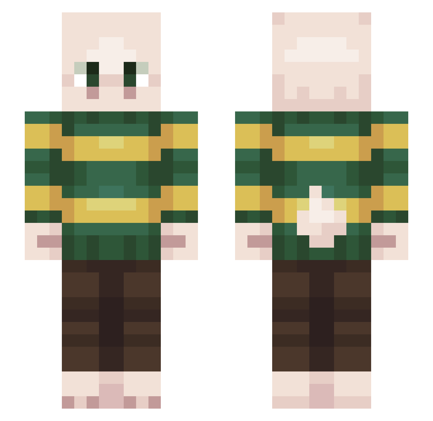 poipy2 Minecraft skin, front and back view