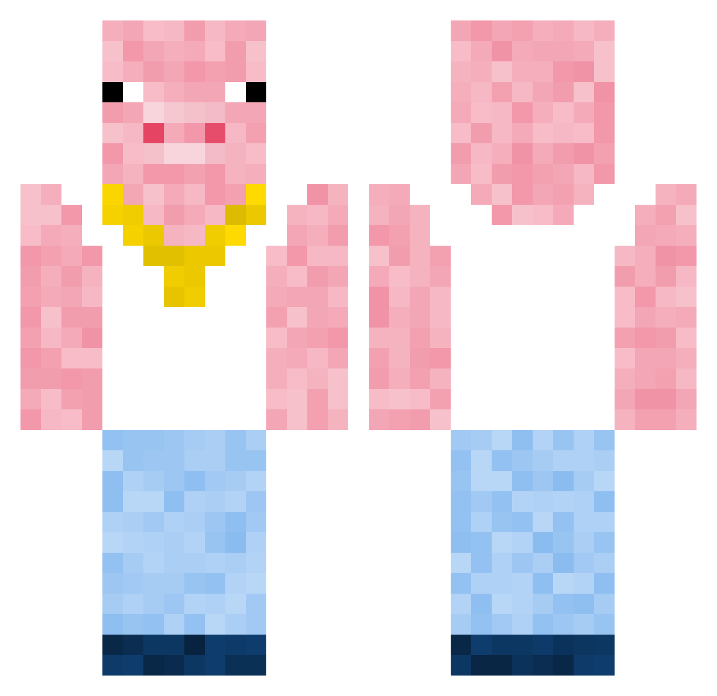 zynjamin69 Minecraft skin, front and back view
