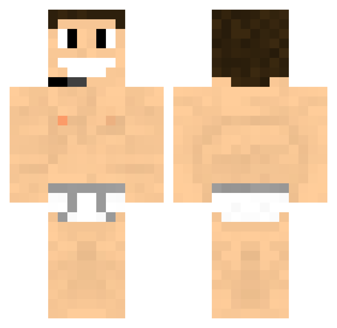 ADA Minecraft skin, front and back view