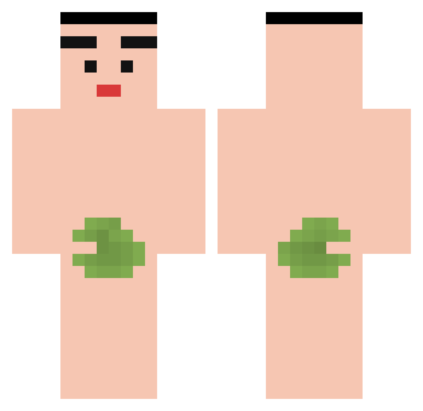 Eelgnuesnib Minecraft skin, front and back view