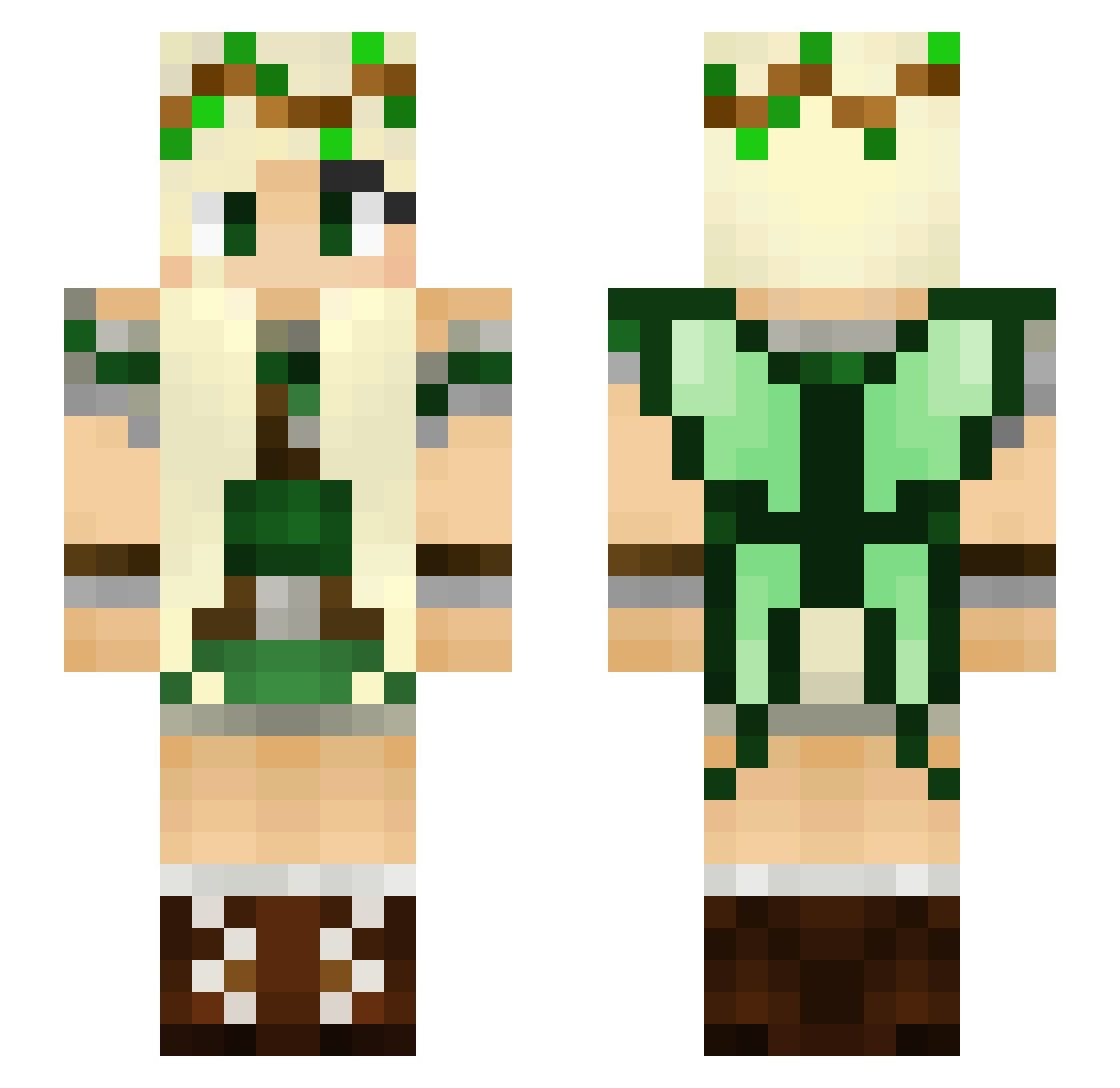 WallflowerLion Minecraft skin, front and back view