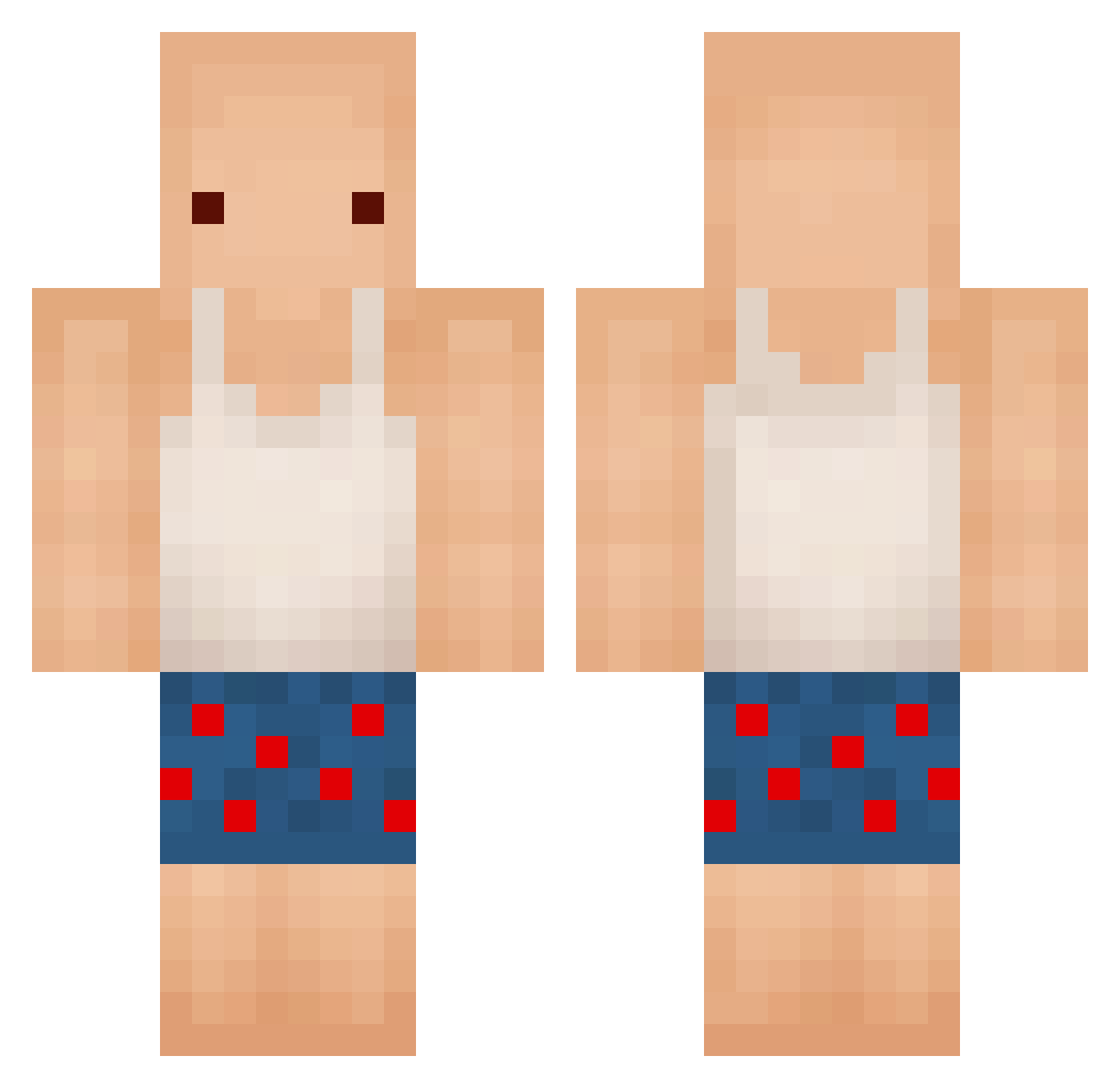 PanShreek Minecraft skin, front and back view