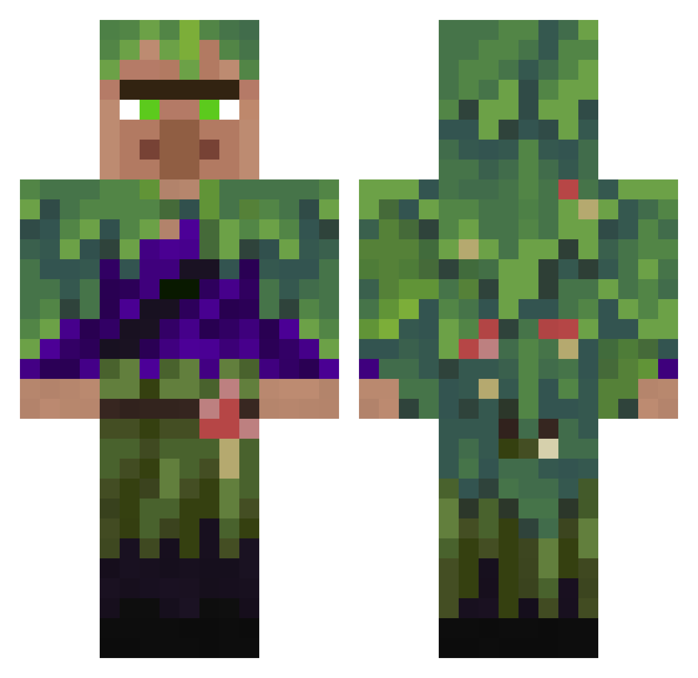 LiLFin5000 Minecraft skin, front and back view