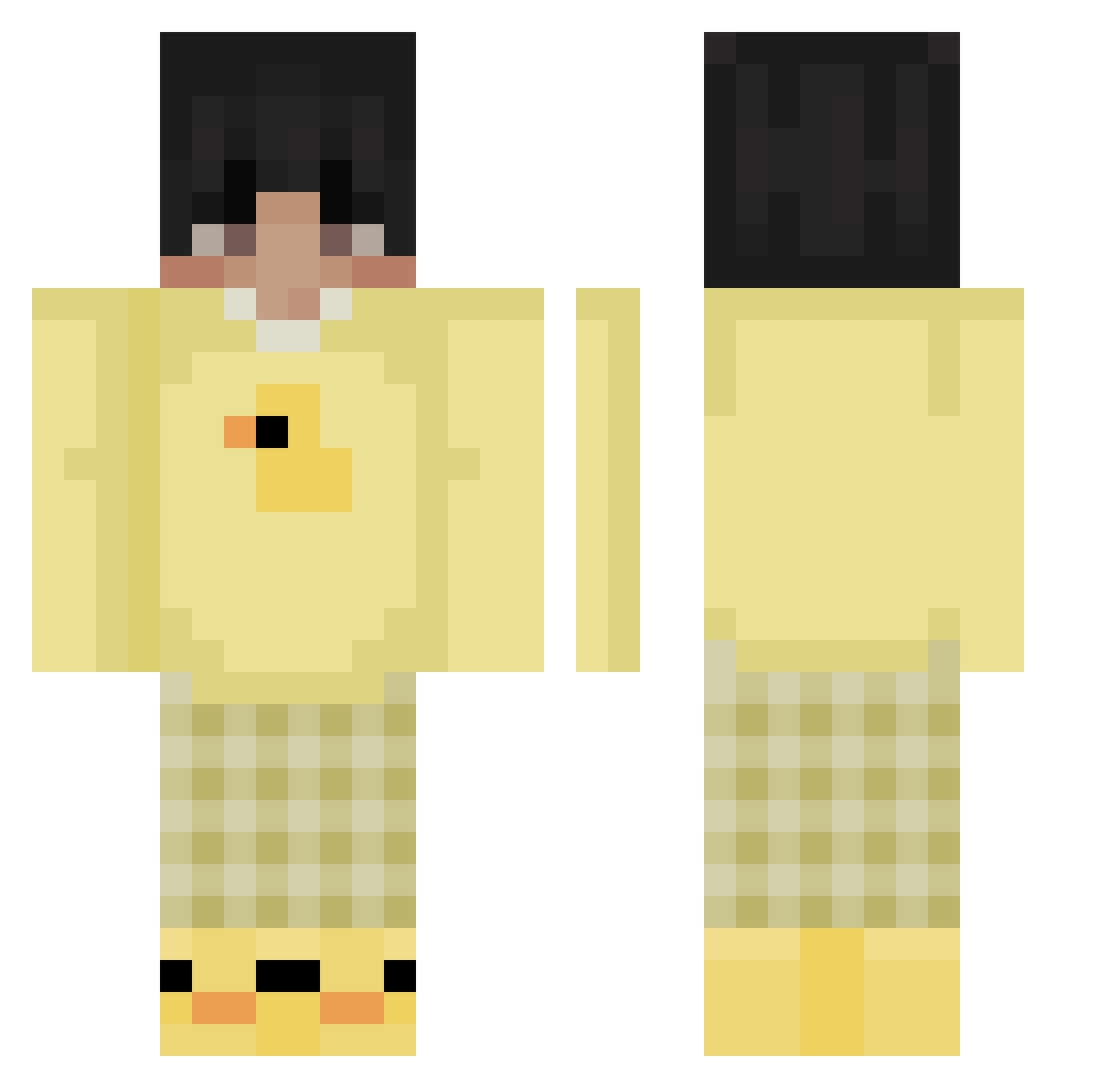 TDT55 Minecraft skin, front and back view