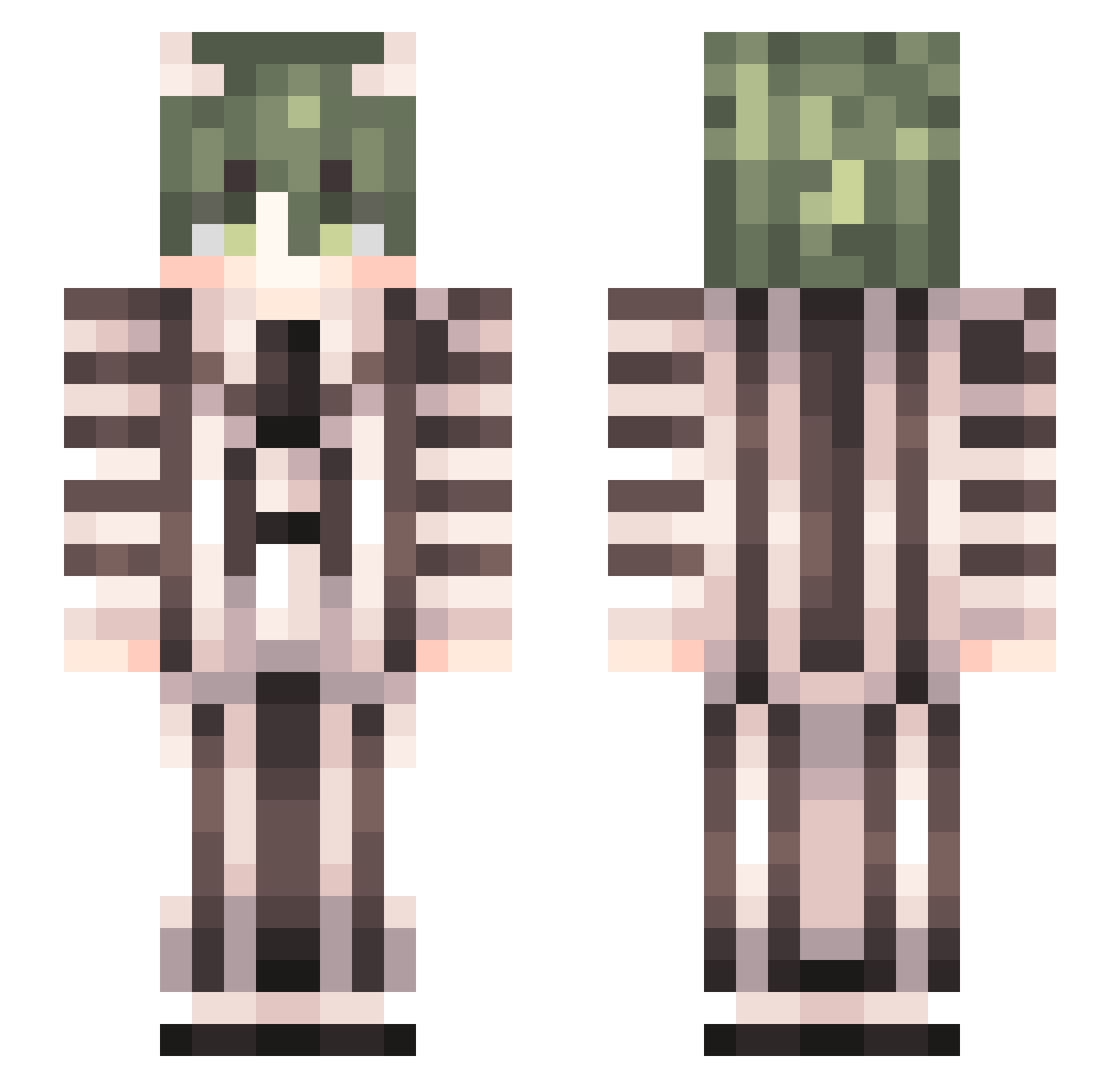 hi_im_bug Minecraft skin, front and back view