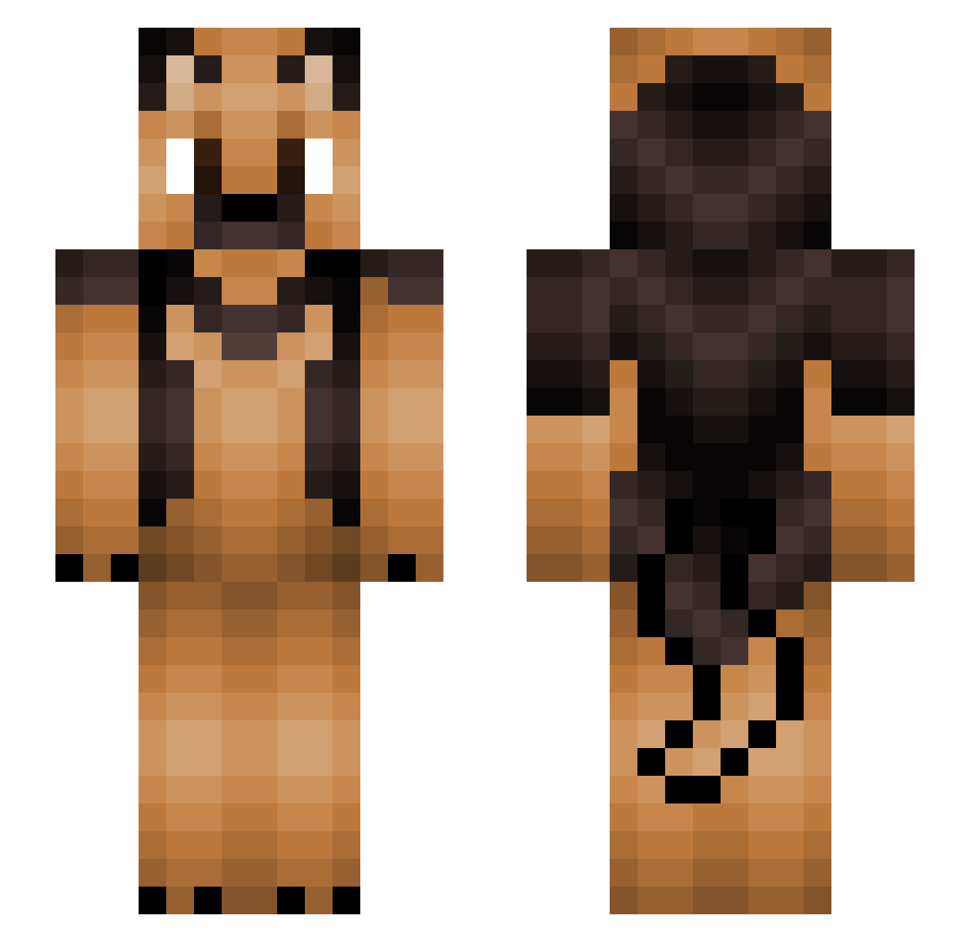 RexDaFurry Minecraft skin, front and back view