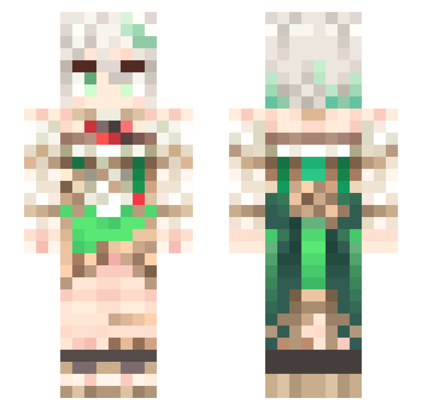 vrjn Minecraft skin, front and back view