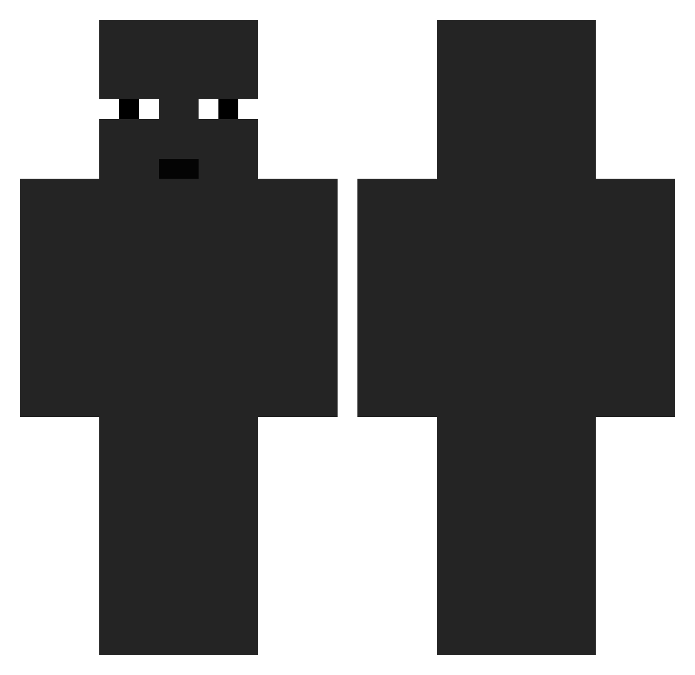 Tnlla Minecraft skin, front and back view