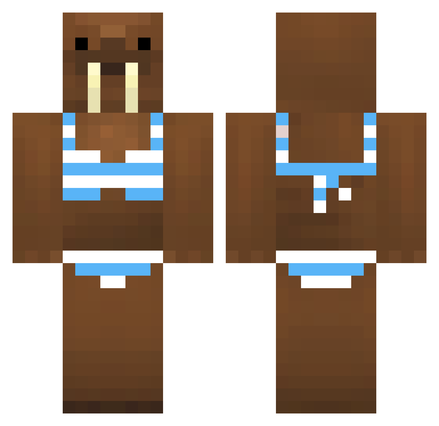 ReyTheEpicBirb Minecraft skin, front and back view