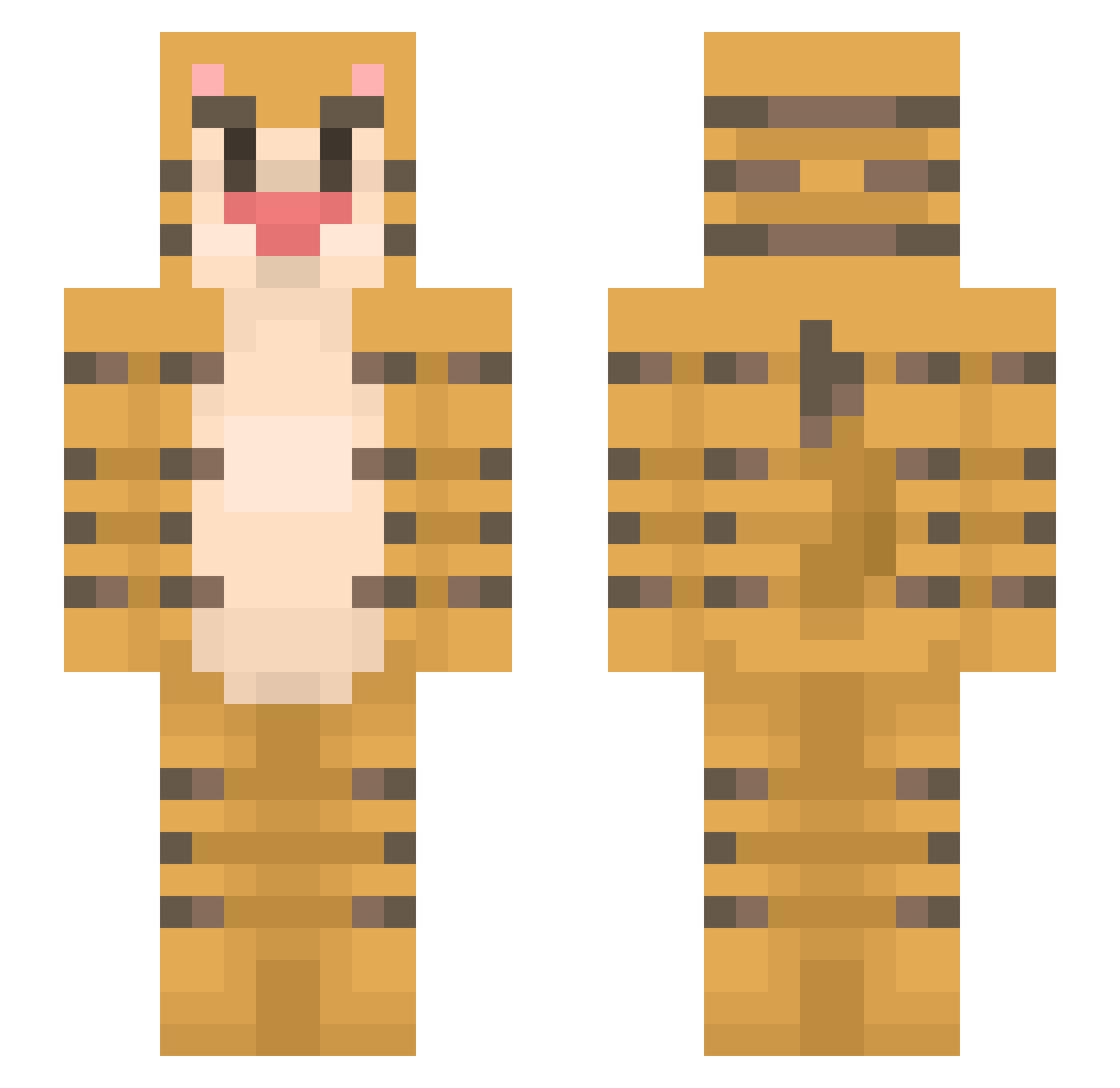 tigs Minecraft skin, front and back view