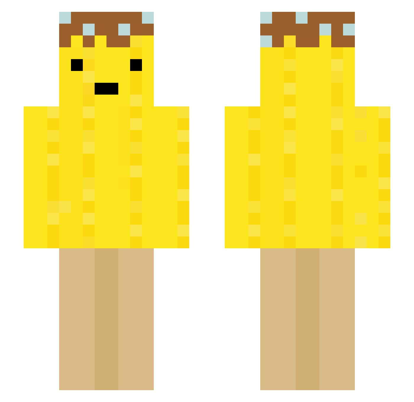 saltlessfry Minecraft skin, front and back view