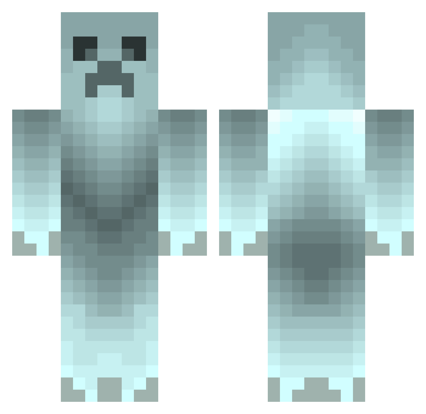 Nils_ Minecraft skin, front and back view