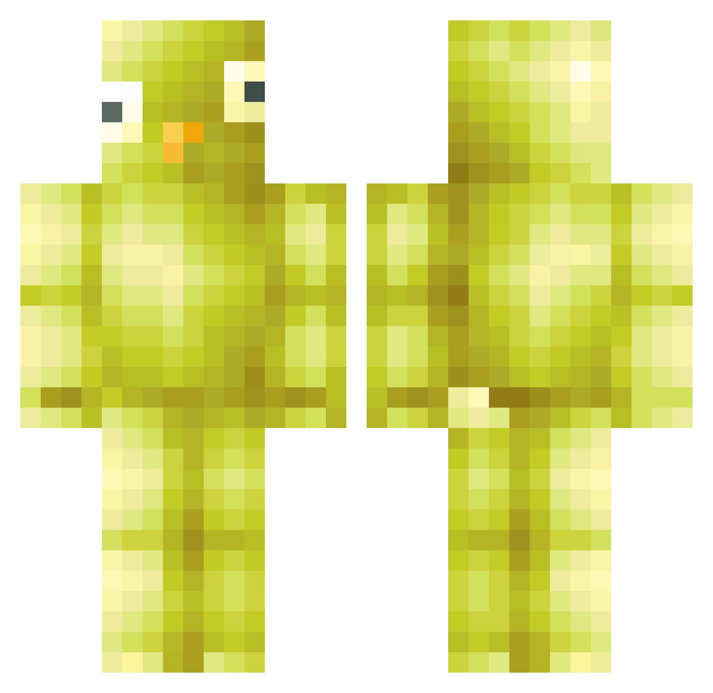 ElPajaro_4 Minecraft skin, front and back view