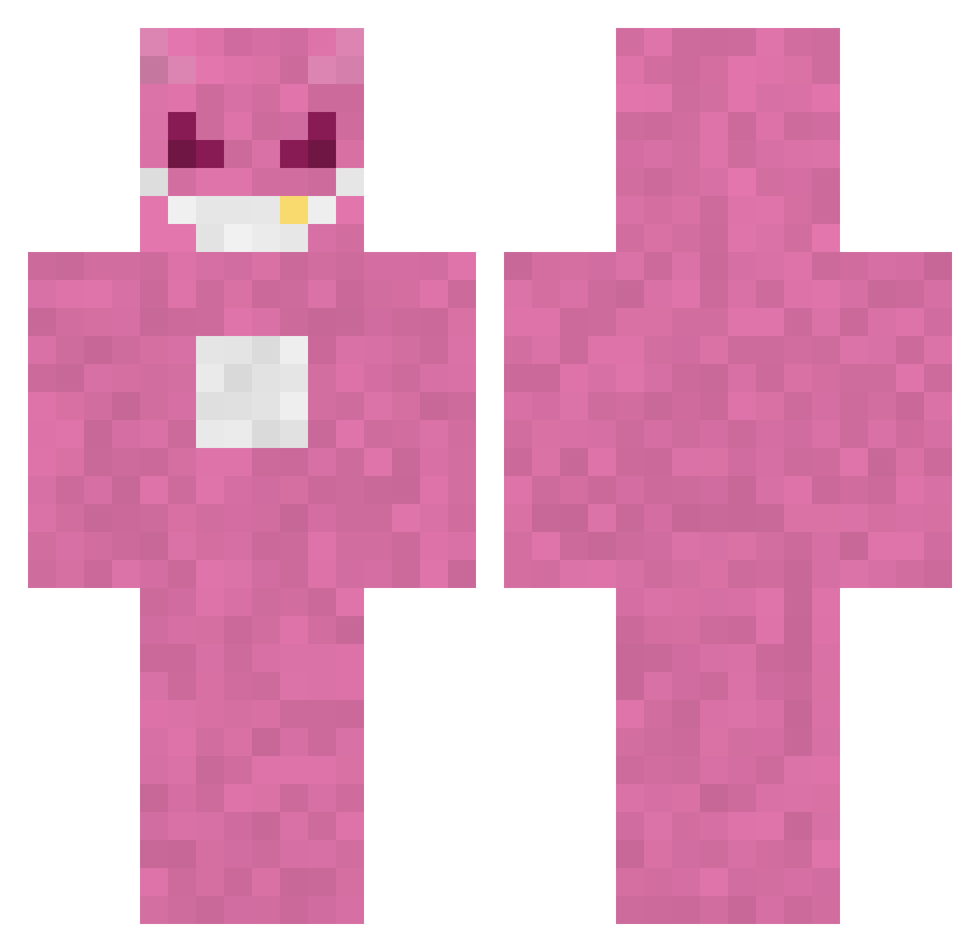 NutPi Minecraft skin, front and back view