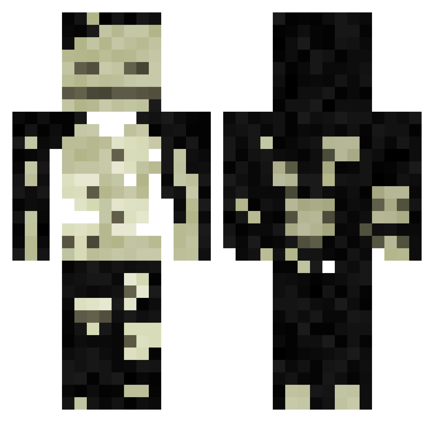 timmy12123 Minecraft skin, front and back view