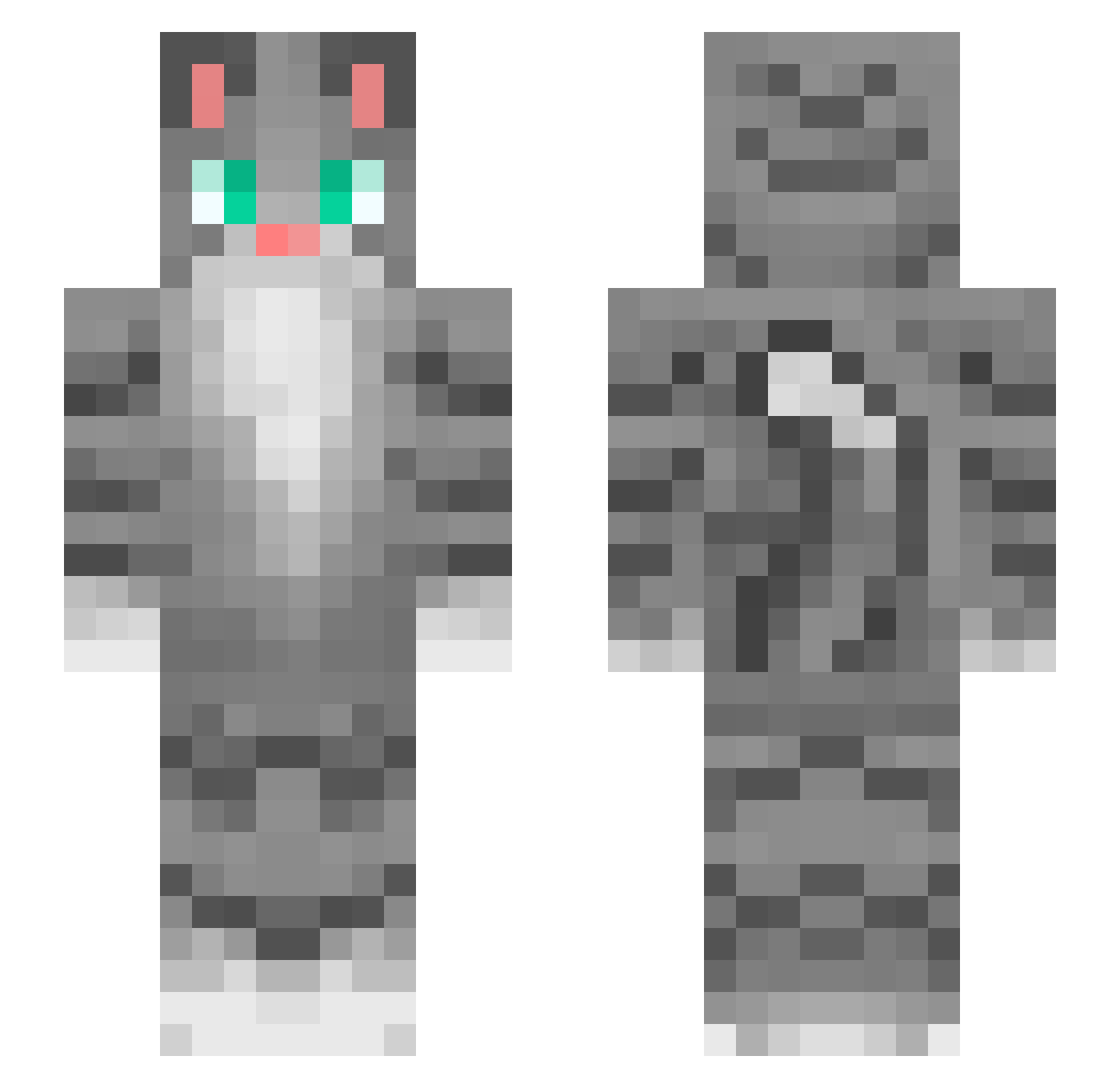 HitchedTomcat Minecraft skin, front and back view