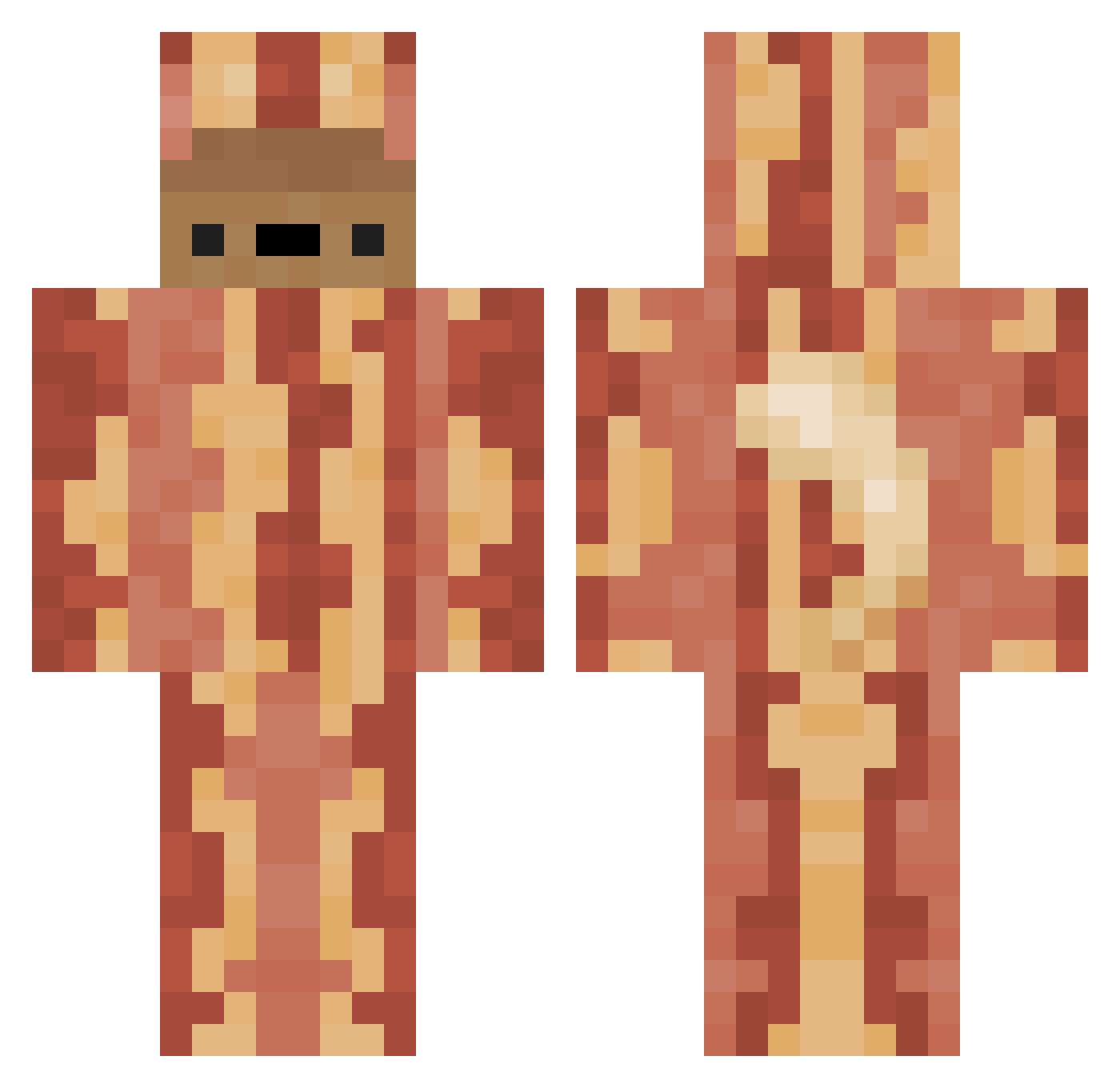 Goshs Minecraft skin, front and back view