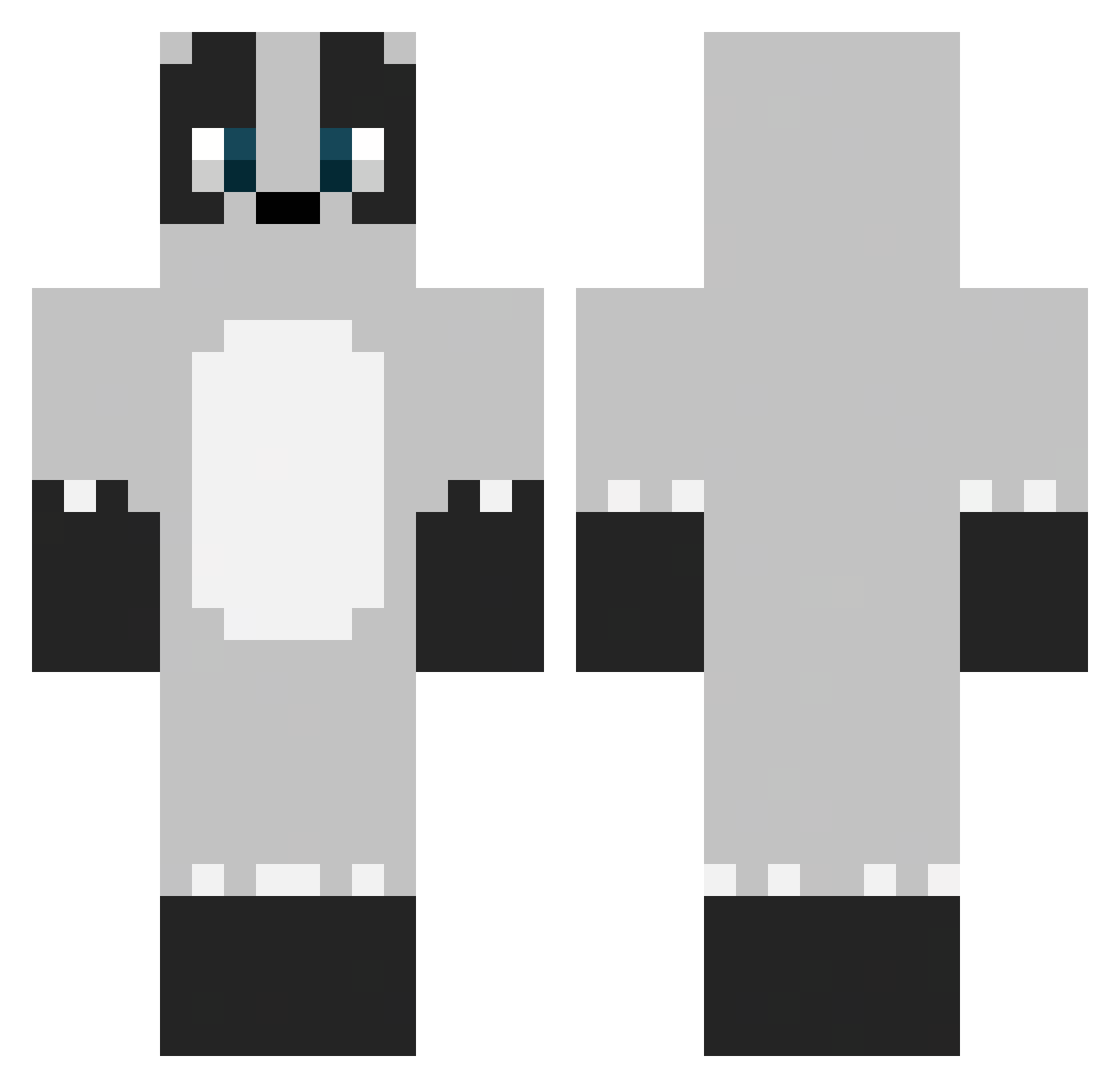 Exect Minecraft skin, front and back view