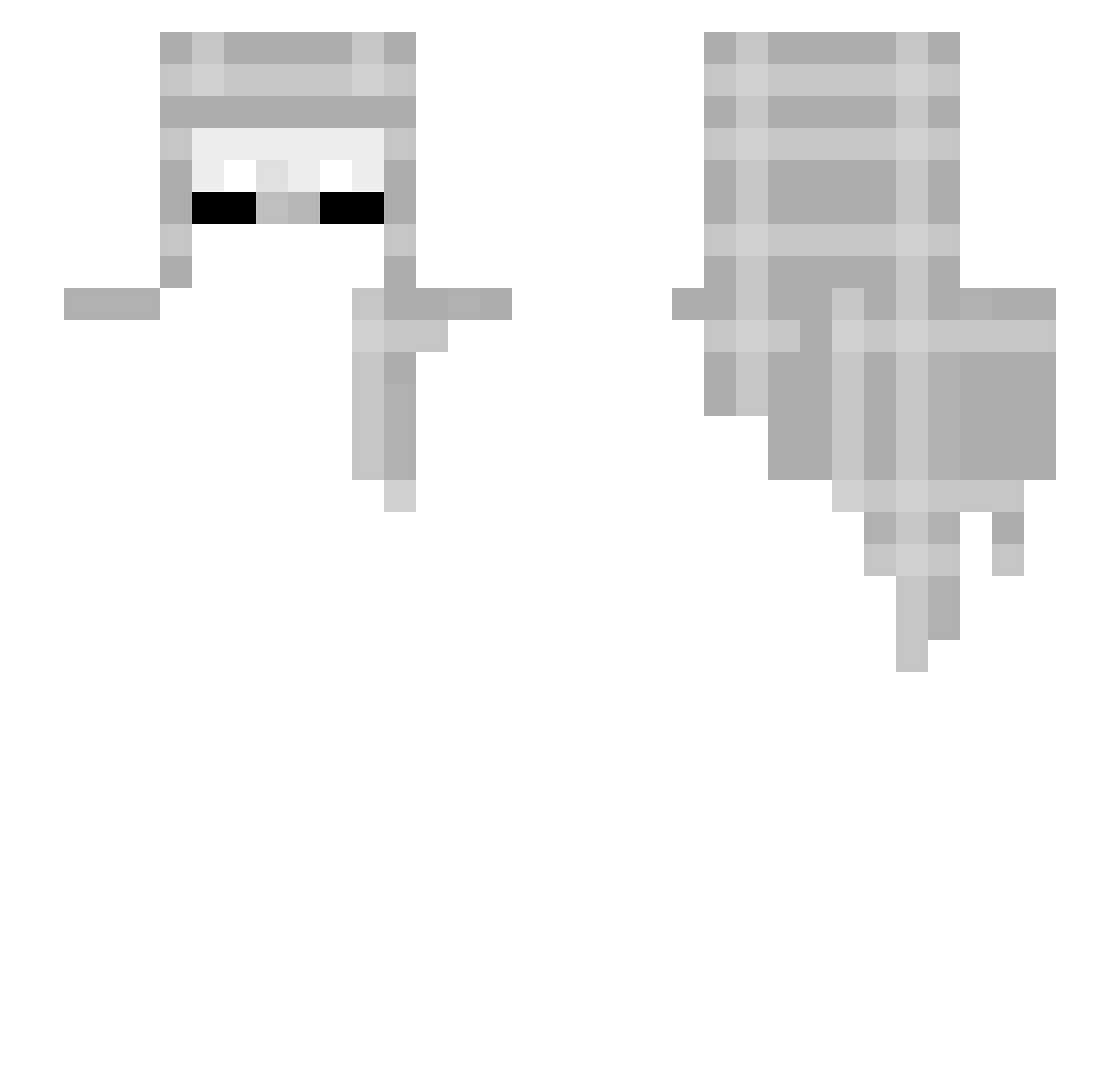 Janczol Minecraft skin, front and back view
