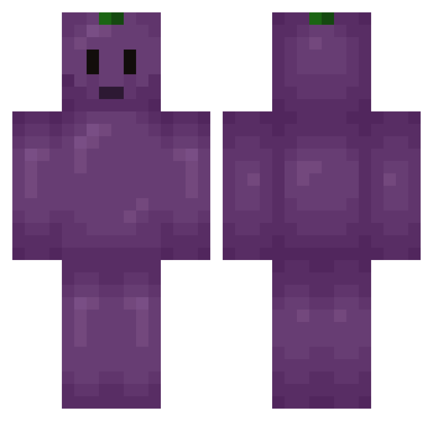 lpad Minecraft skin, front and back view