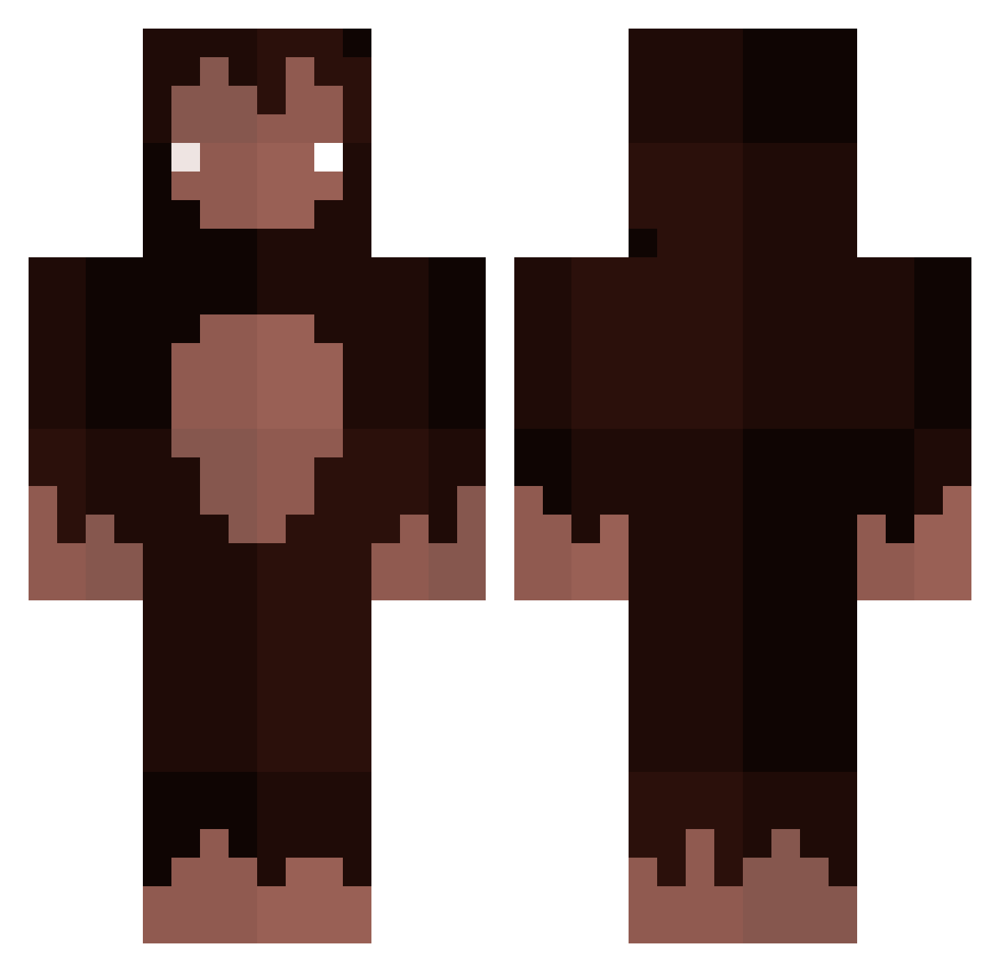 soupenjoyar Minecraft skin, front and back view