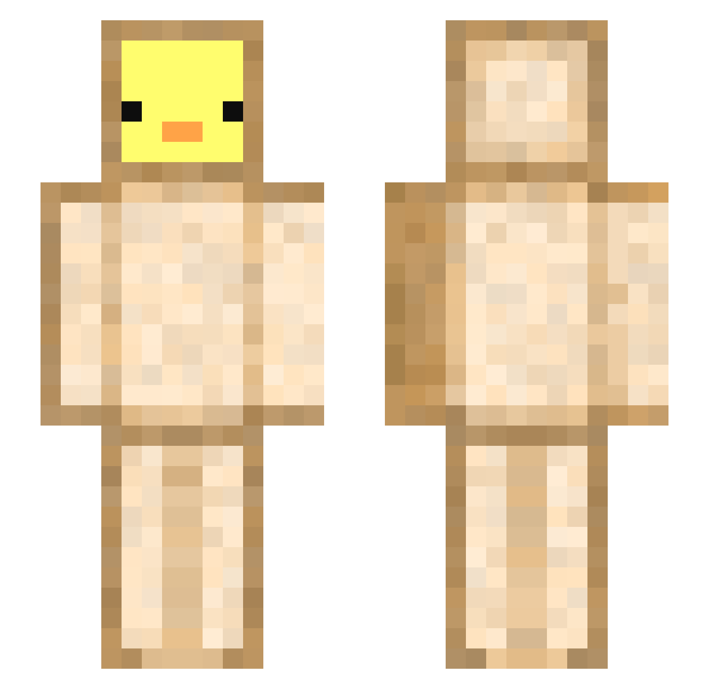 Ellsez Minecraft skin, front and back view
