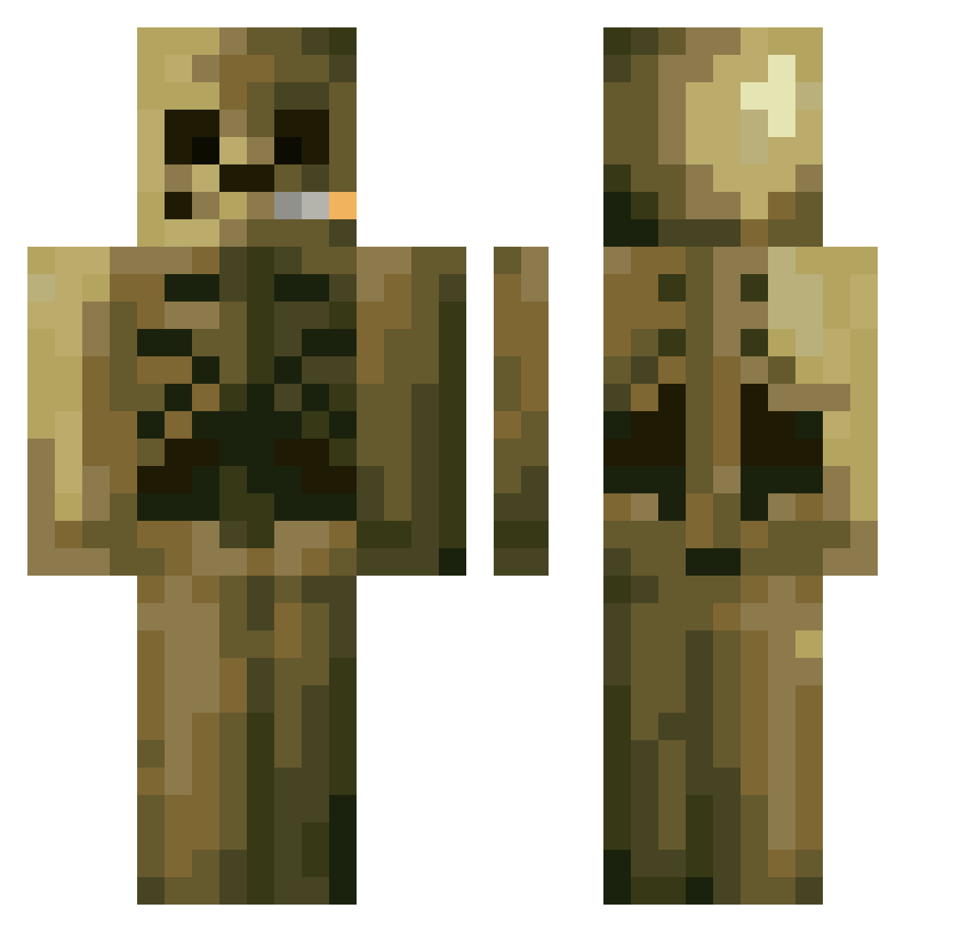Rogercor Minecraft skin, front and back view