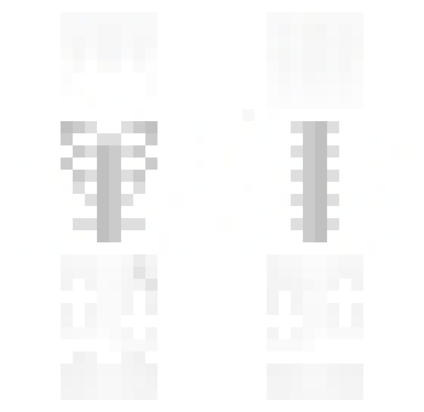 Kaoru_exe_ Minecraft skin, front and back view