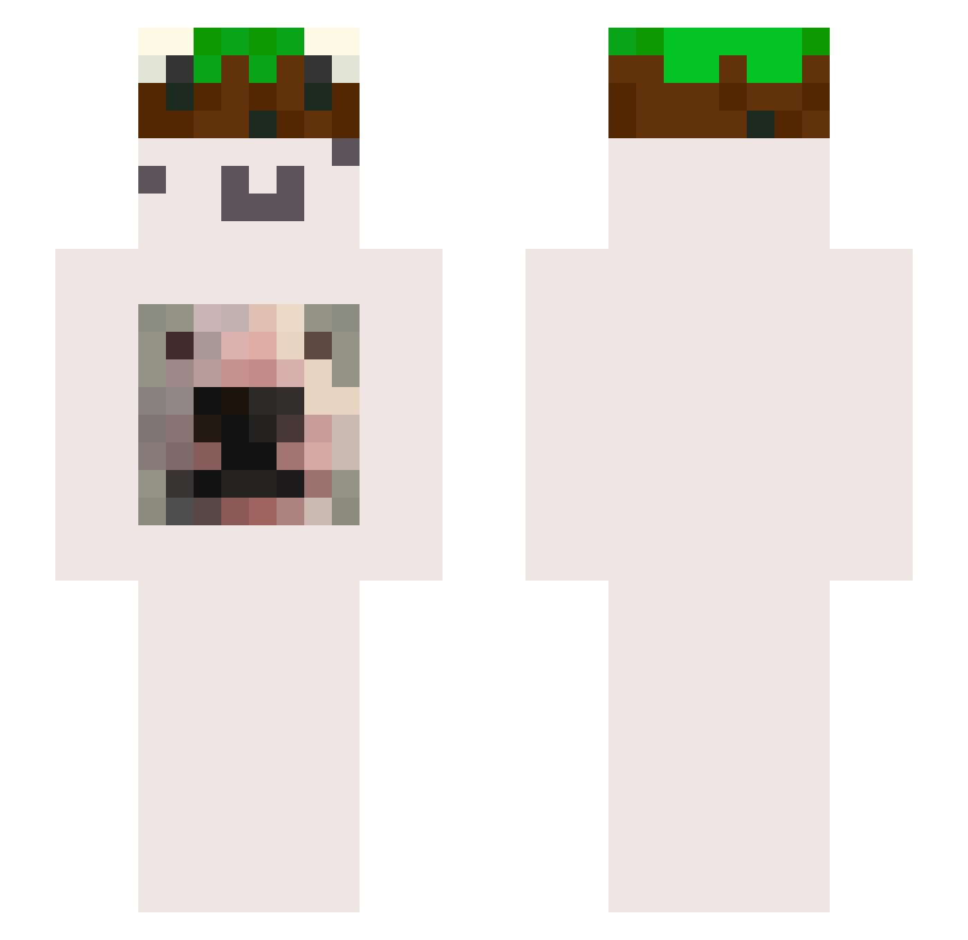 DerpyOreo Minecraft skin, front and back view