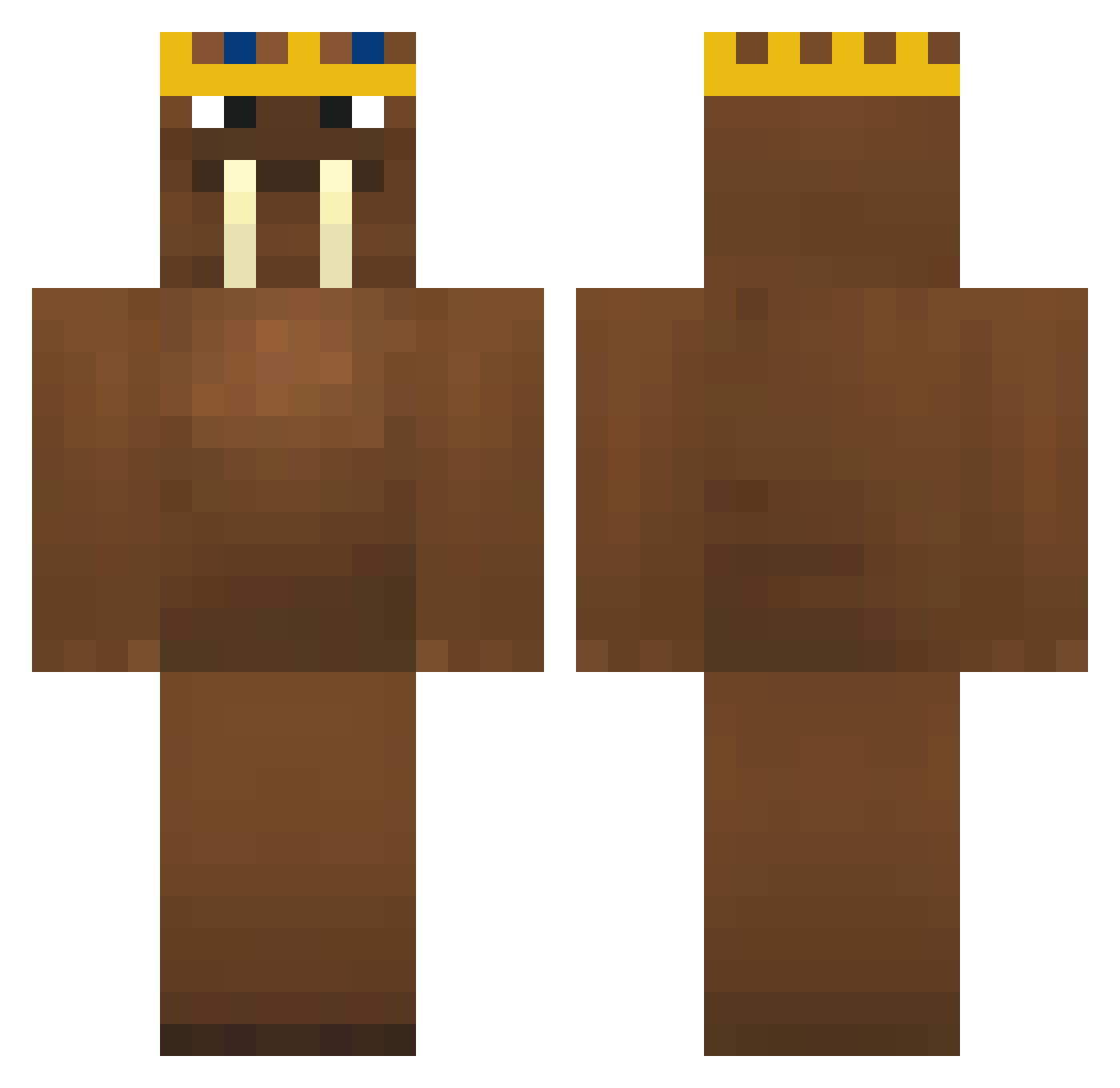 Zisch20 Minecraft skin, front and back view