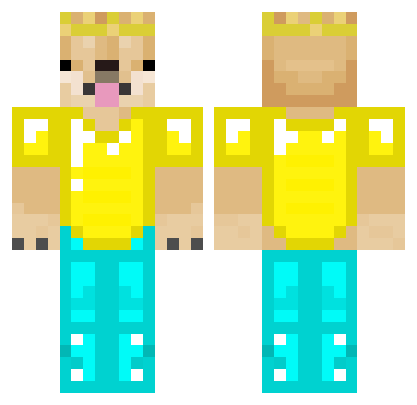 Anponomo Minecraft skin, front and back view