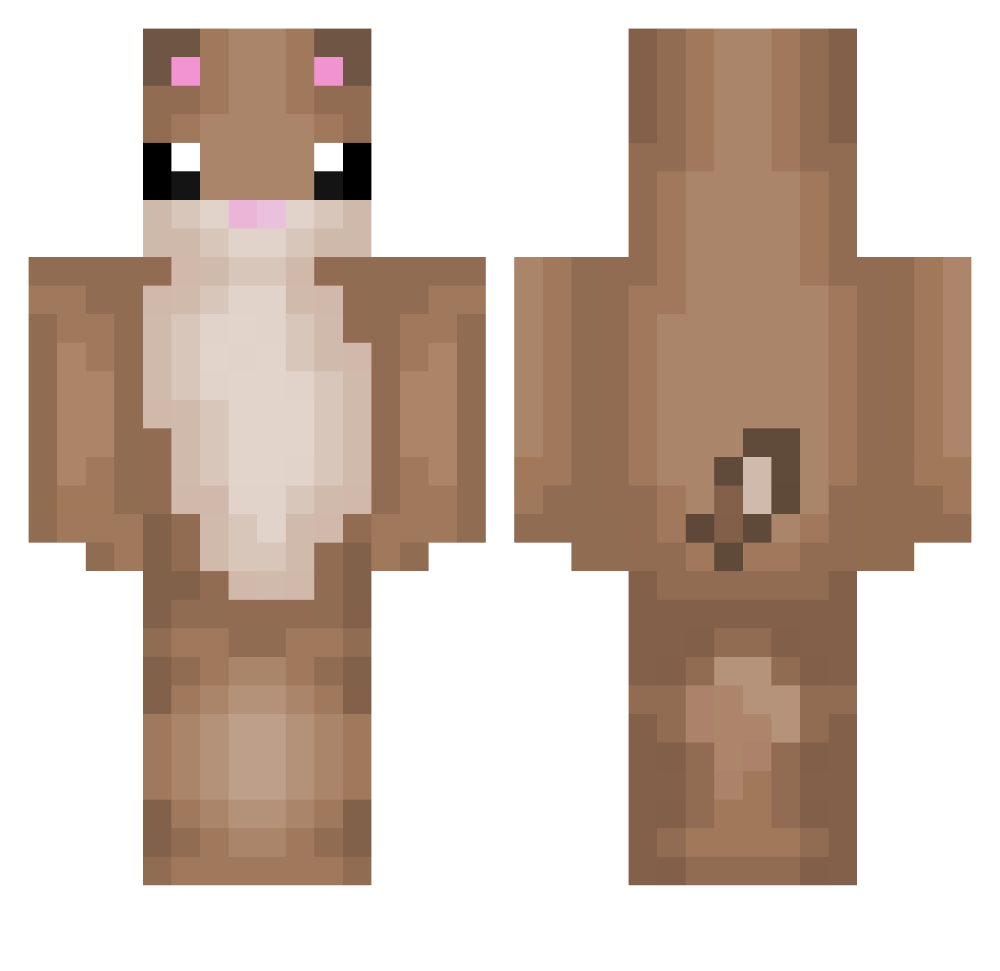 Brianna_Hamster Minecraft skin, front and back view