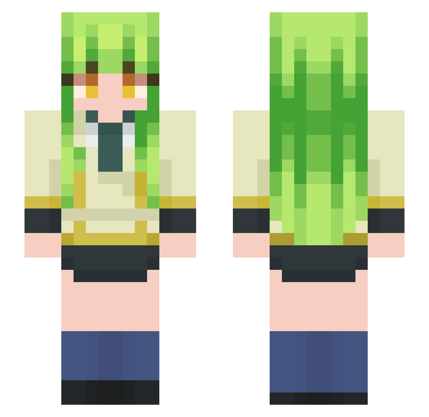ripudiedd Minecraft skin, front and back view
