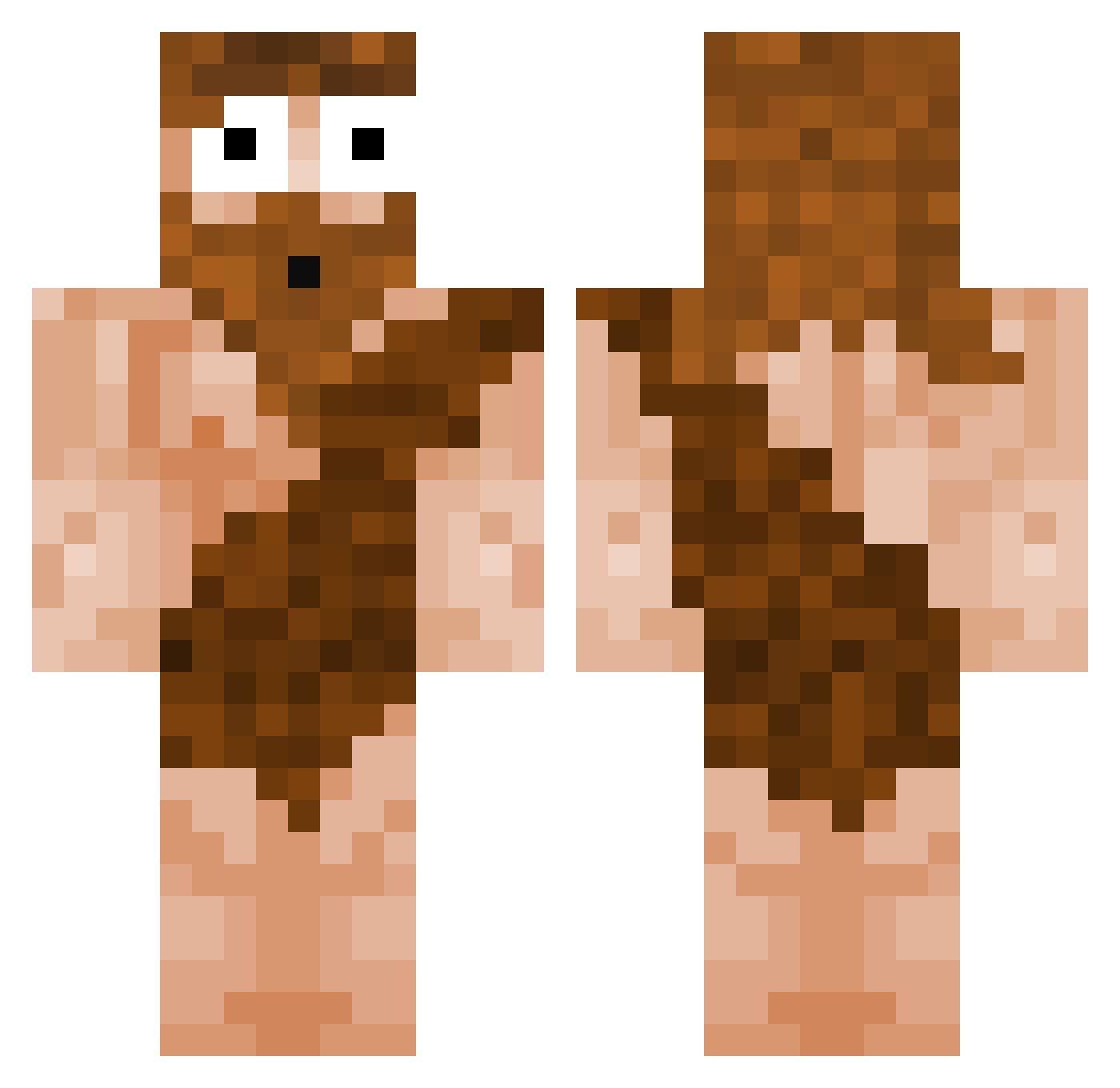 Doddinho Minecraft skin, front and back view