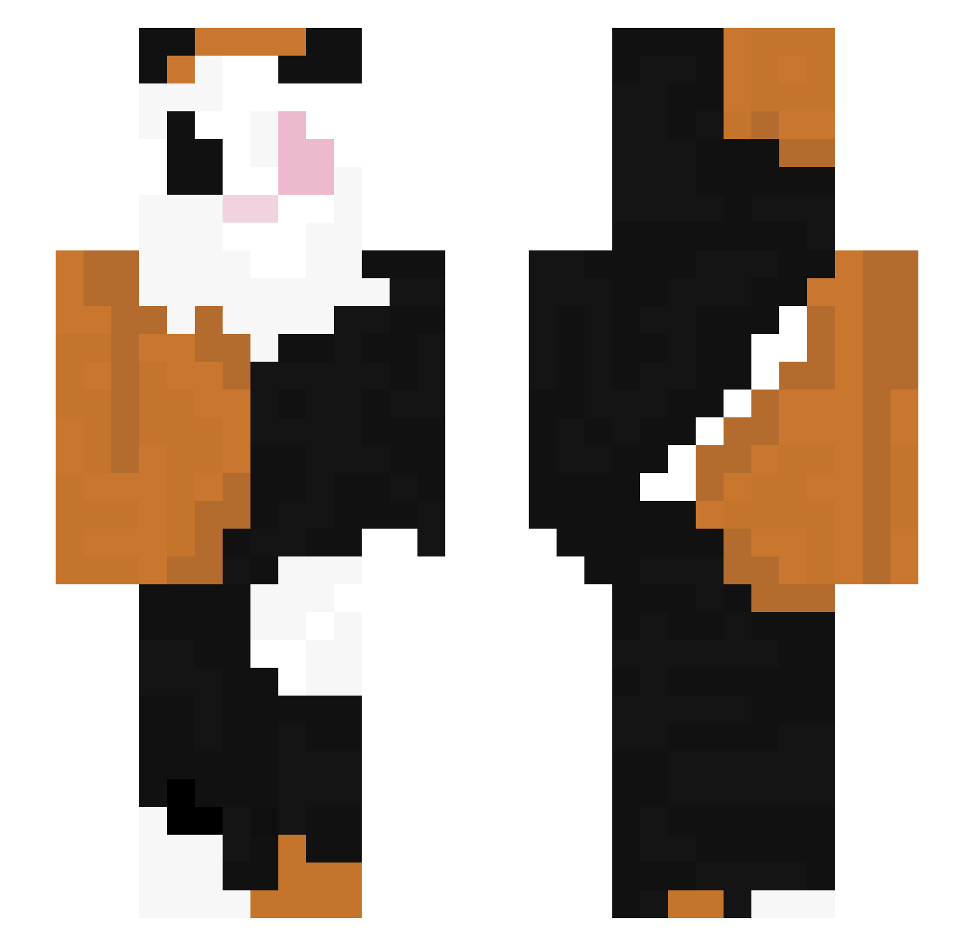 limaceQuiPasse2 Minecraft skin, front and back view