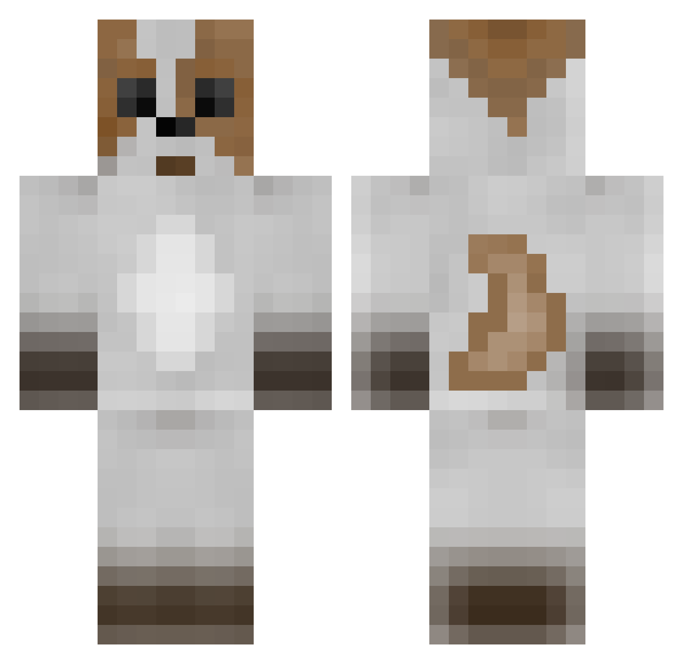 Spaniel Minecraft skin, front and back view