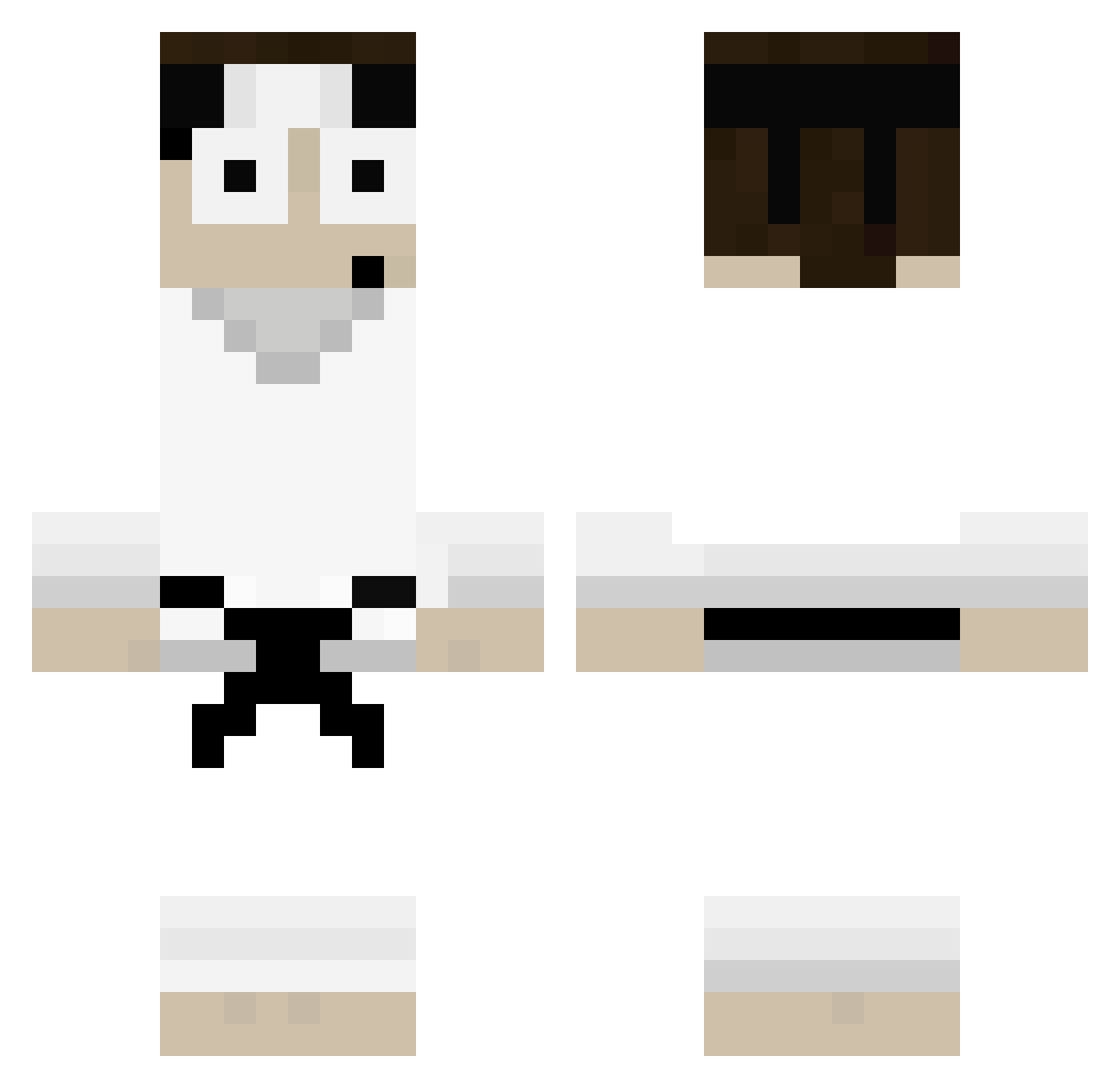 Tidily Minecraft skin, front and back view