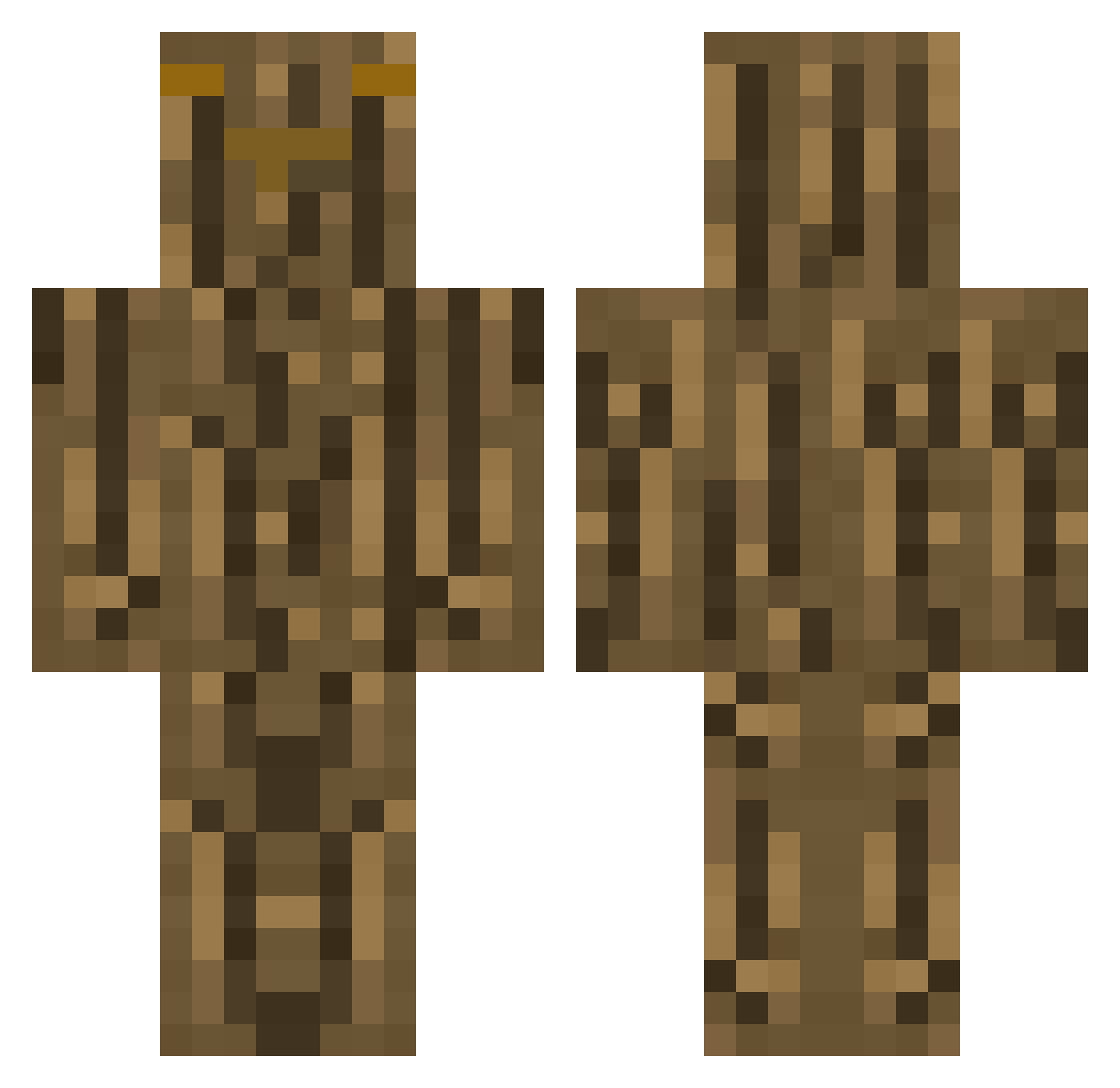 155125200 Minecraft skin, front and back view