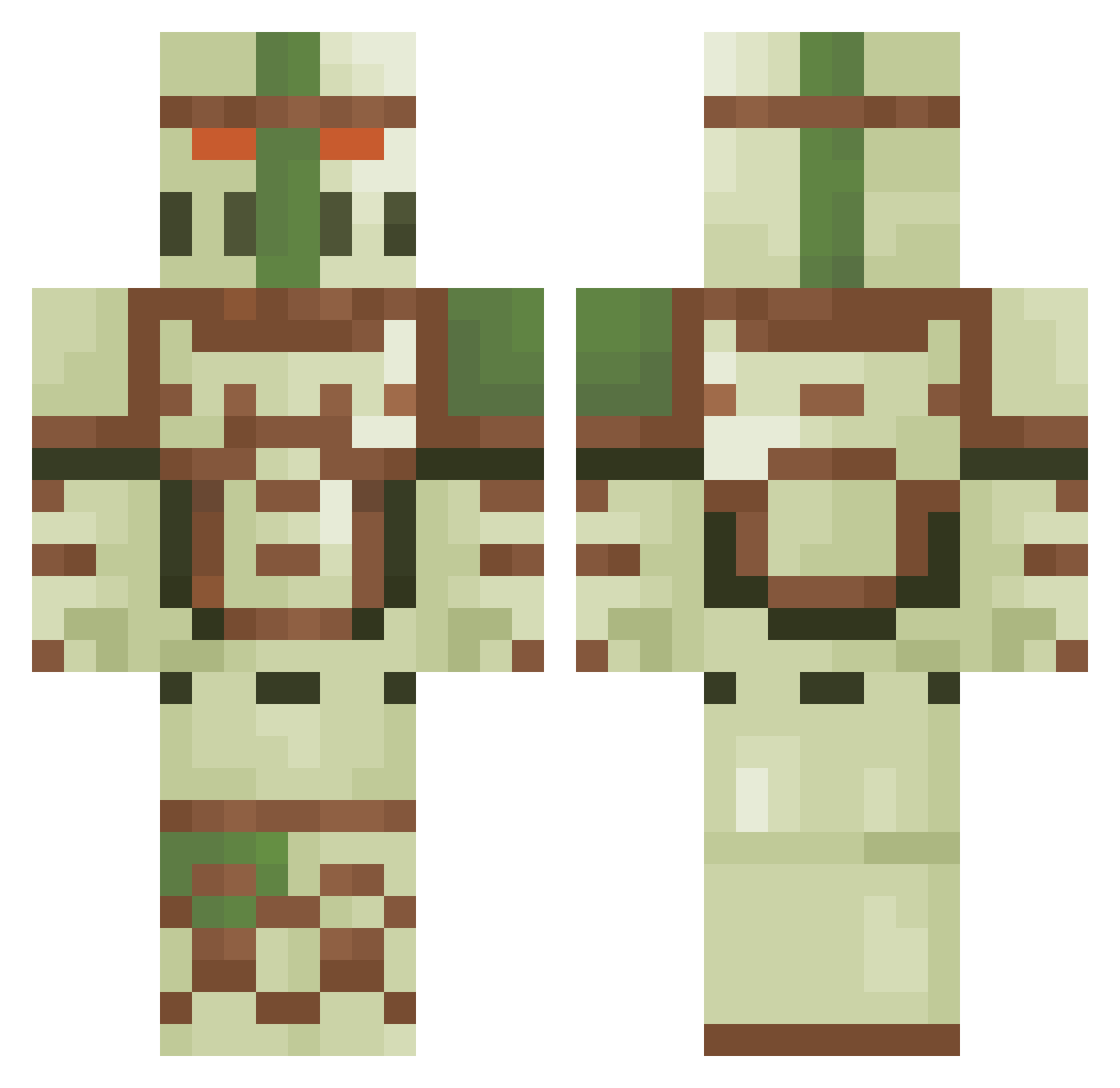 Brokadilla Minecraft skin, front and back view