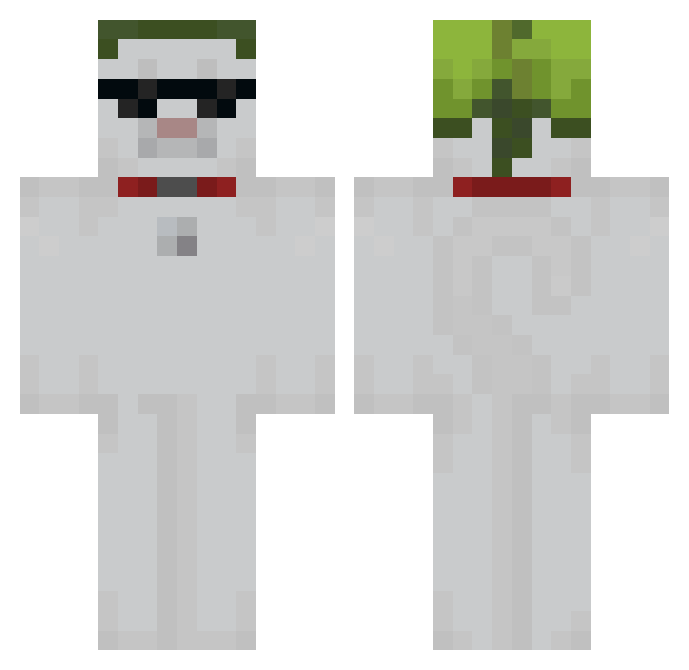 wisteln Minecraft skin, front and back view