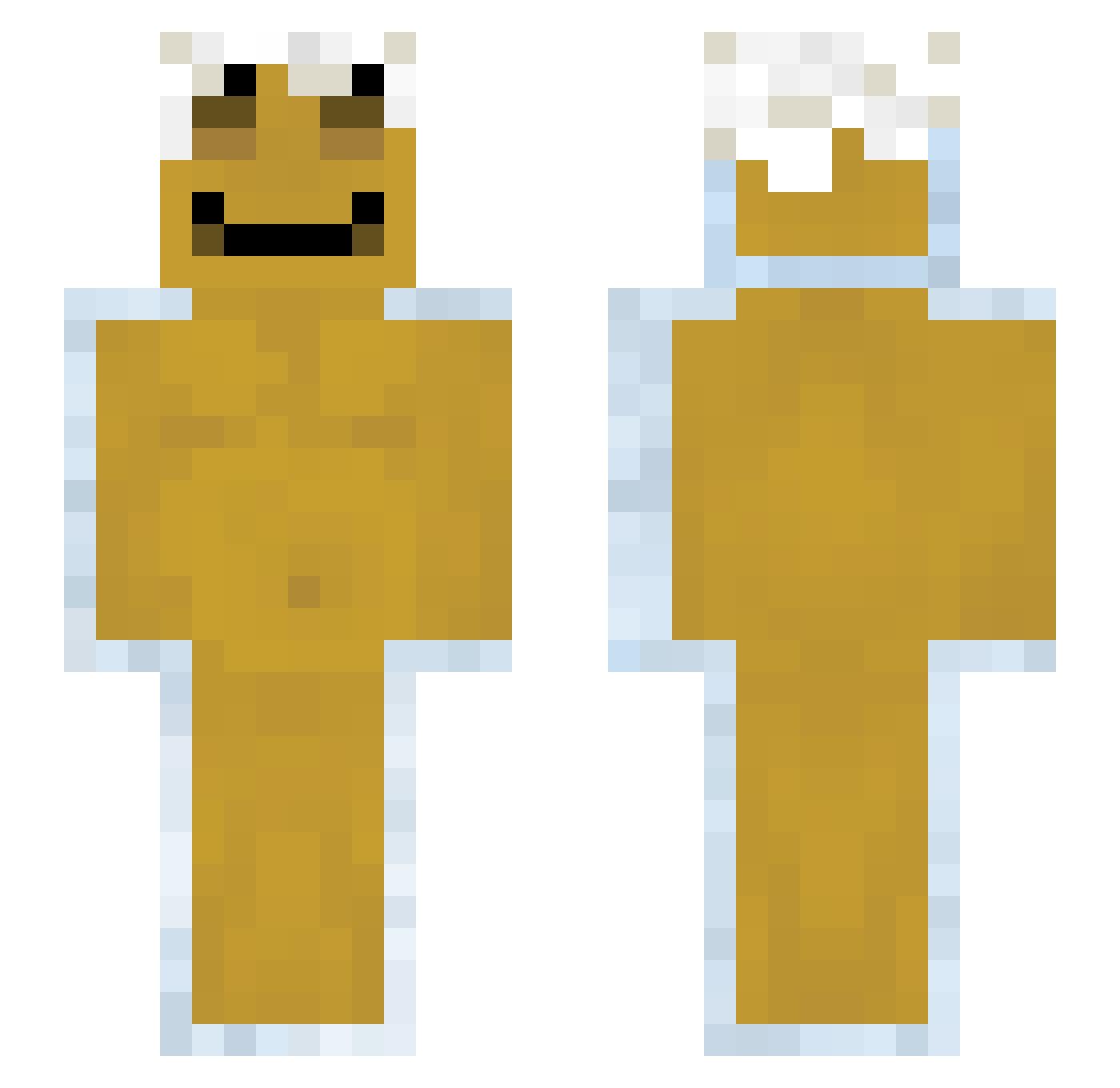wwbn Minecraft skin, front and back view