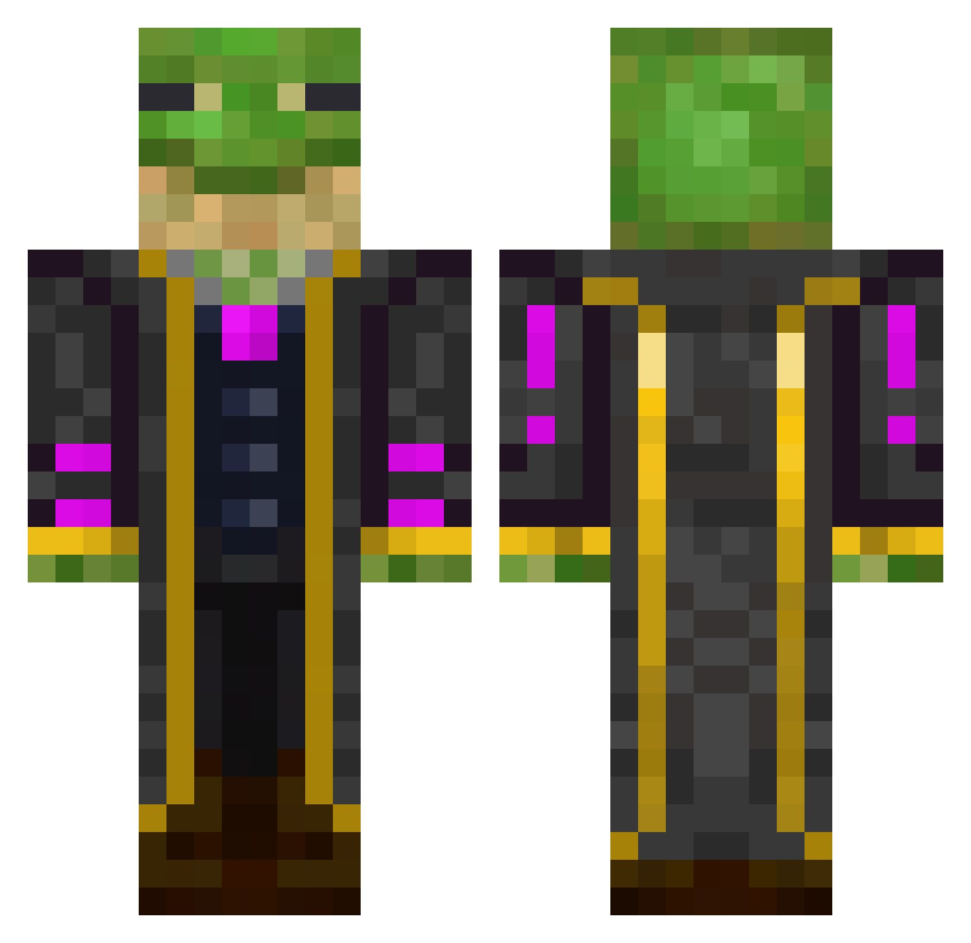 Th3_Frog_Wizard Minecraft skin, front and back view